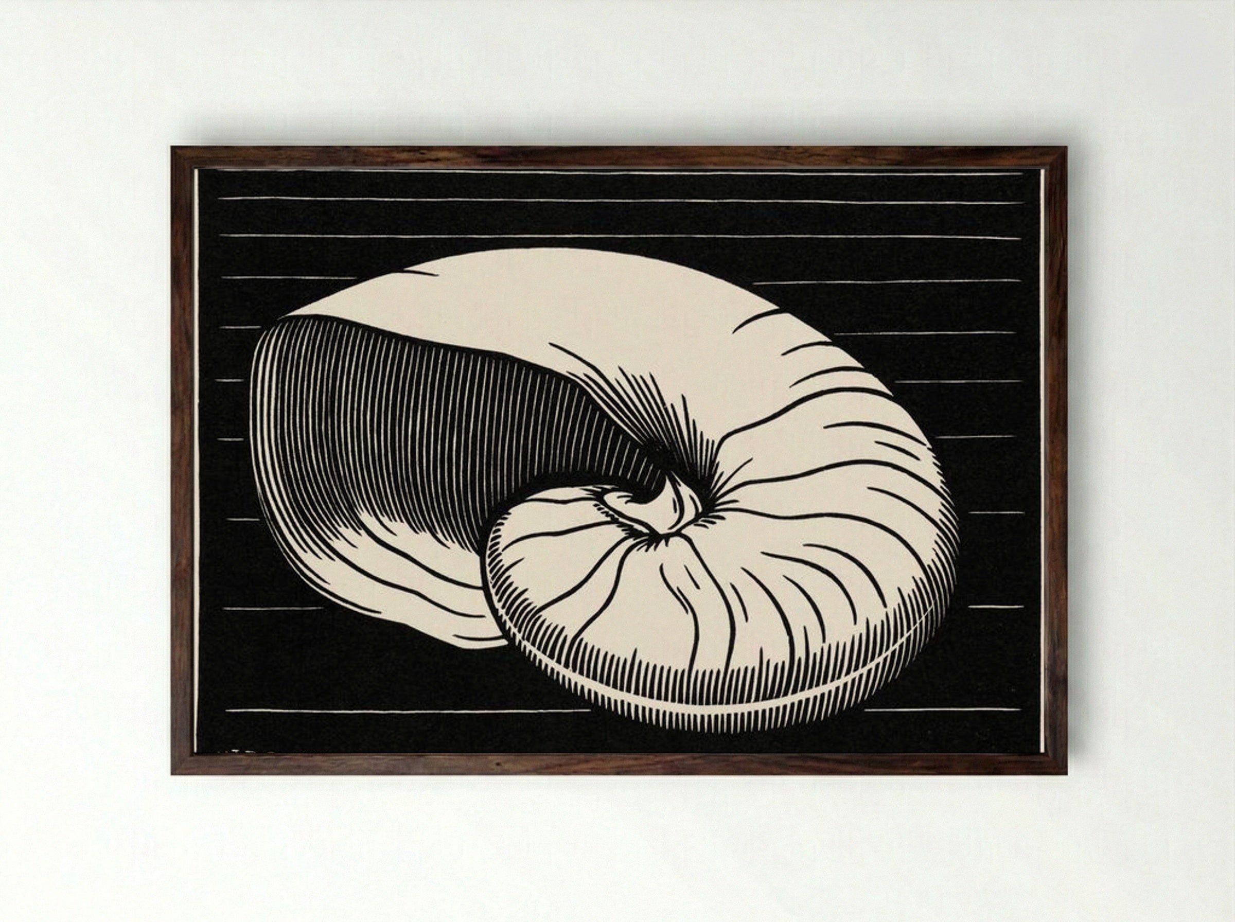 Shell - Julie de Graag - Framed Print Dark Wood