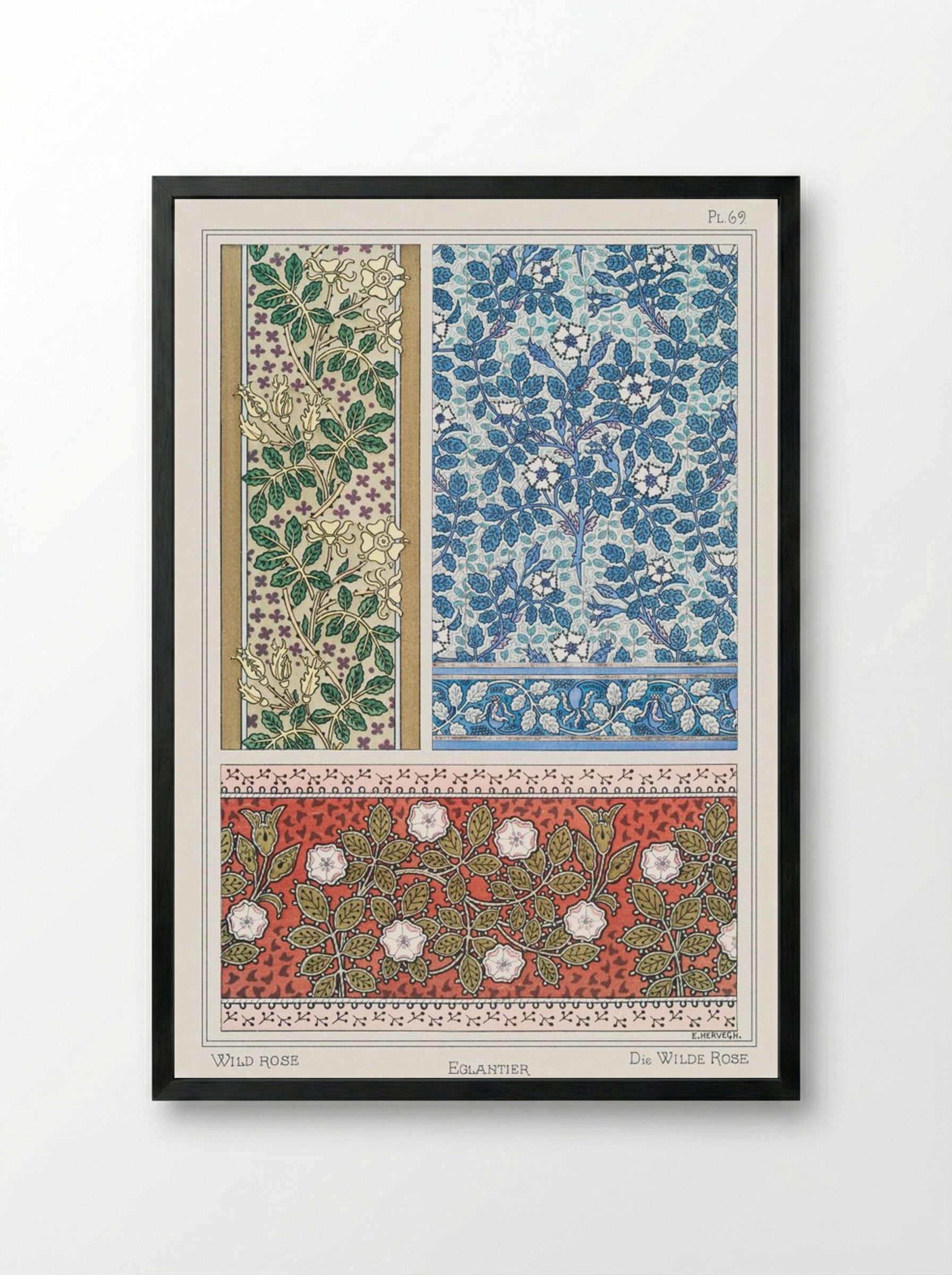 Eglantier (Wild Rose) from La Plante et ses Applications ornementales - Maurice Pillard Verneuil - Framed Print Black