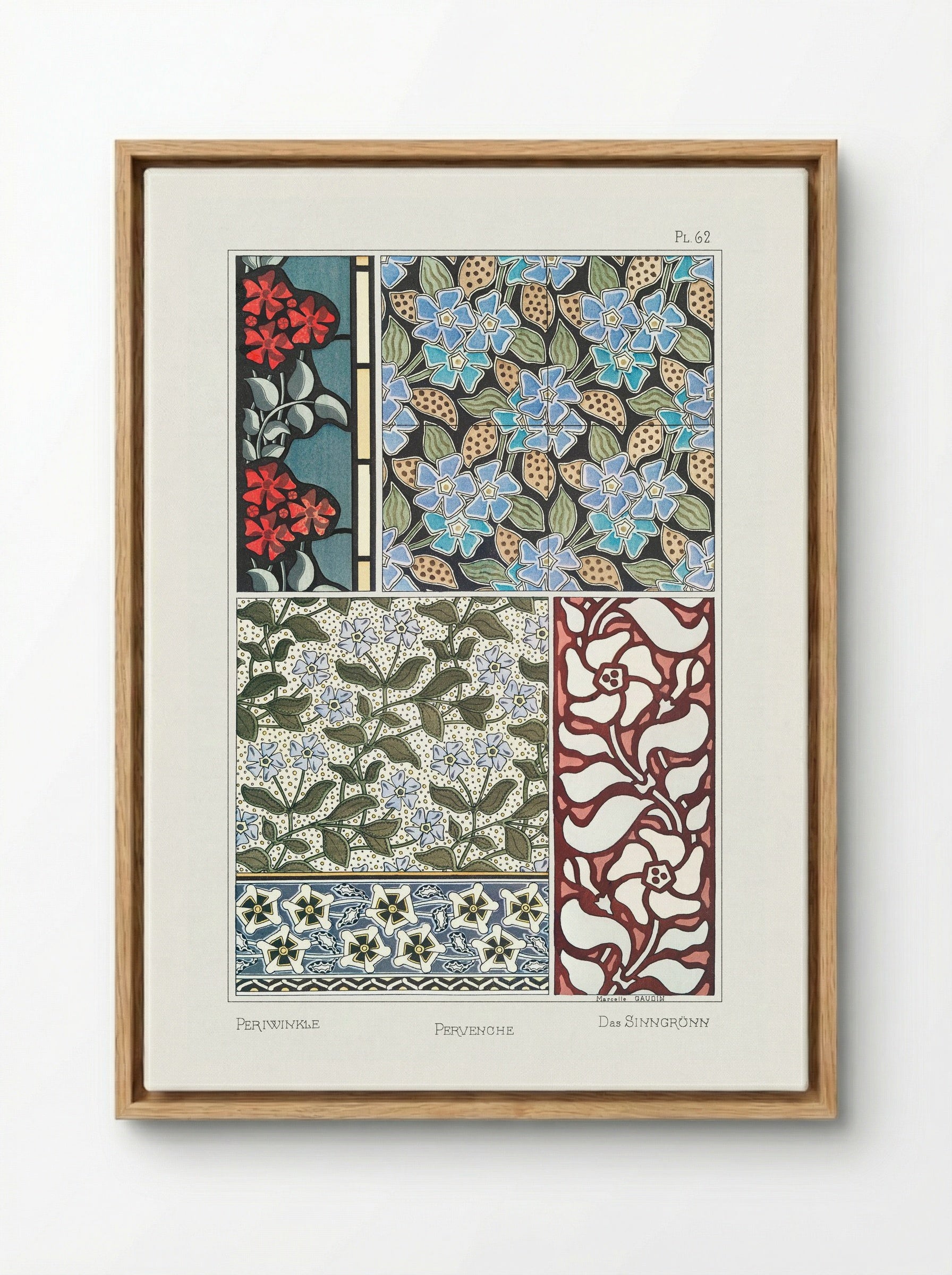Pervenche (Periwinkle) from La Plante et ses Applications ornementales - Maurice Pillard Verneuil - Framed Canvas Wood