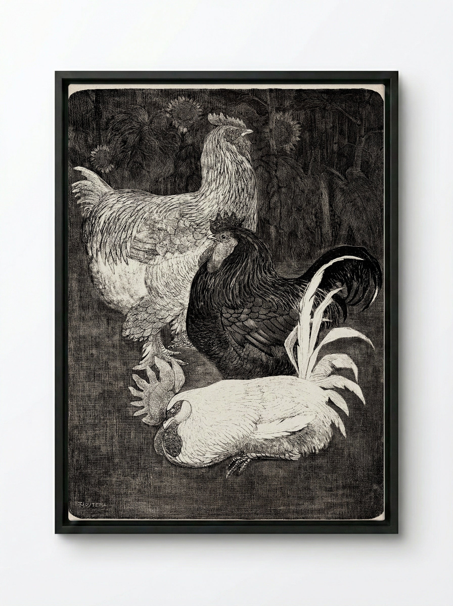 Drie Hanen (Three Roosters) - Theo van Hoytema - Framed Canvas Black