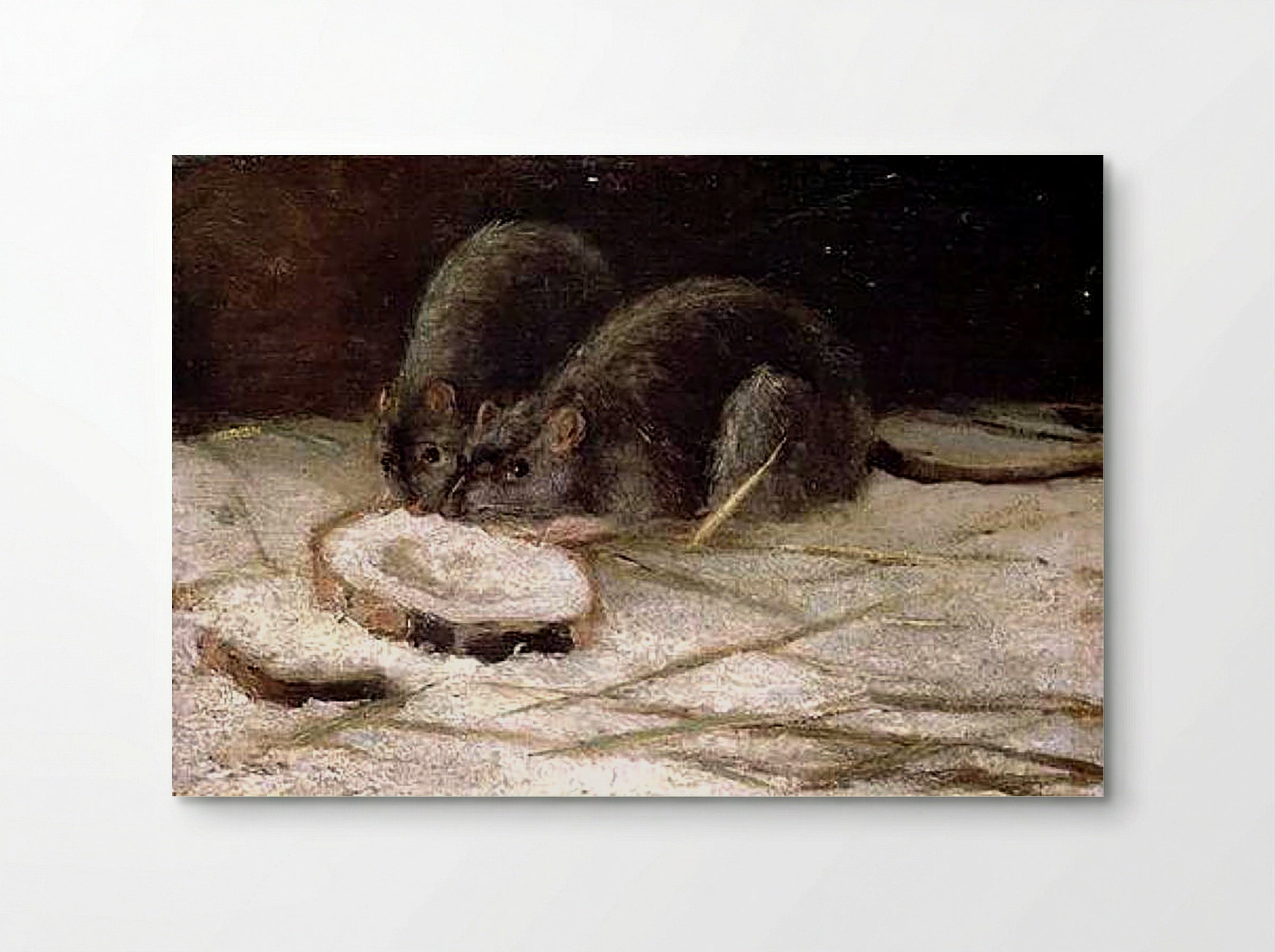 Two Rats Eating - Fine Art Print - Poster