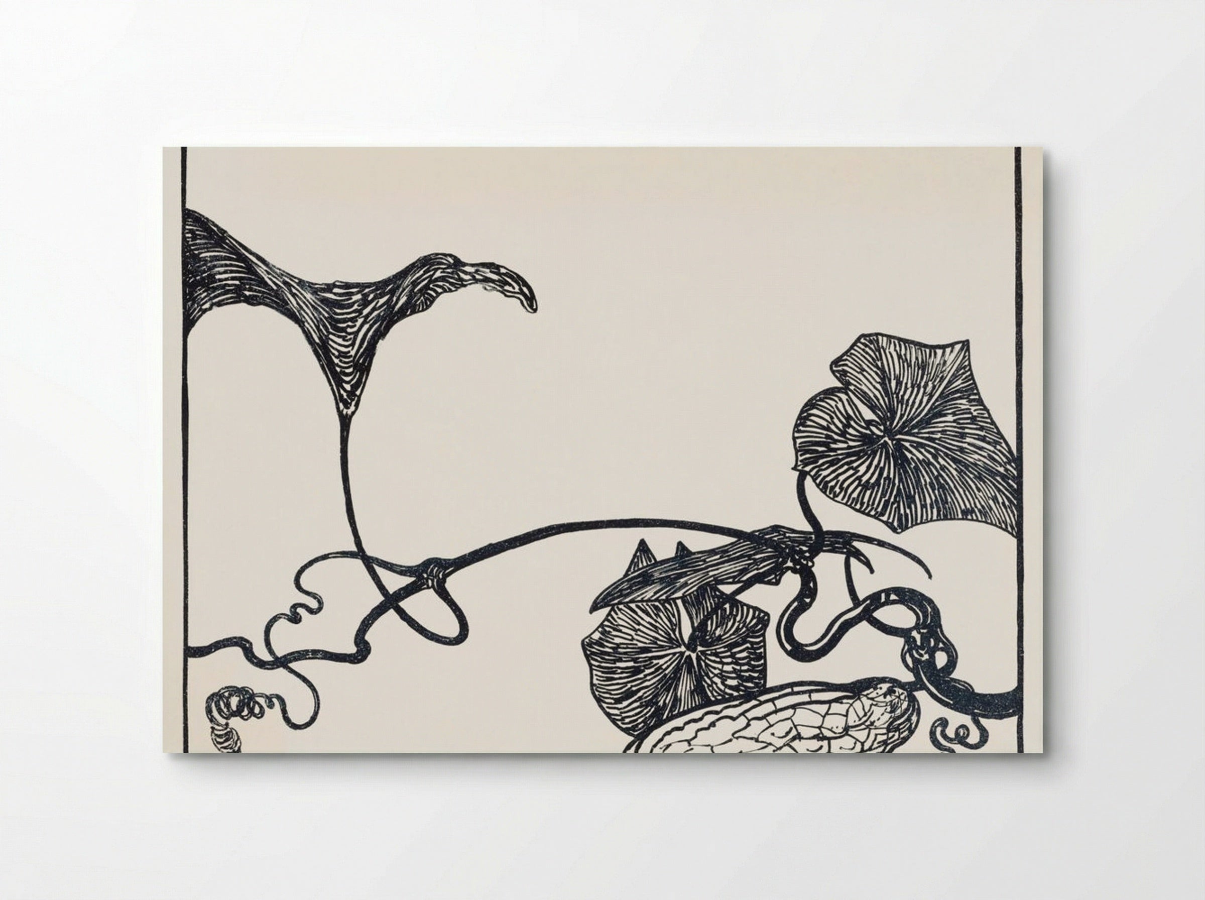 Augurkenplant (Cucumber Plant) - Theo van Hoytema - Poster