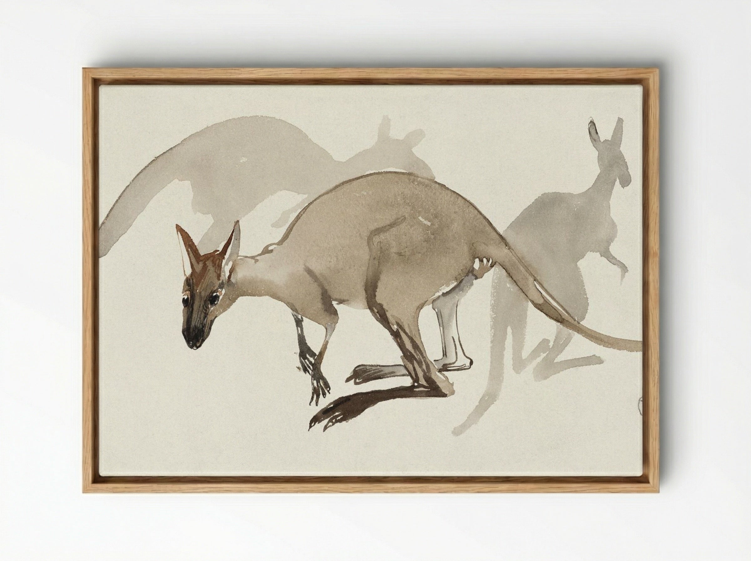 Kangaroos - Theo van Hoytema - Framed Canvas Wood