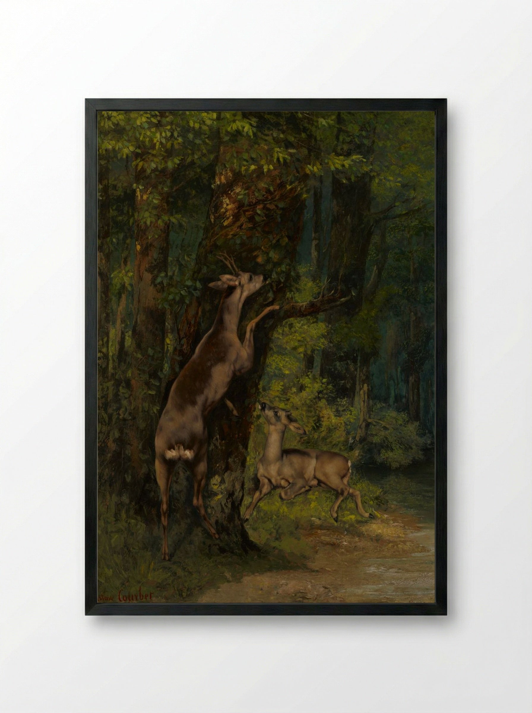 Deer in the Forest - Gustave Courbet - Framed Print Black