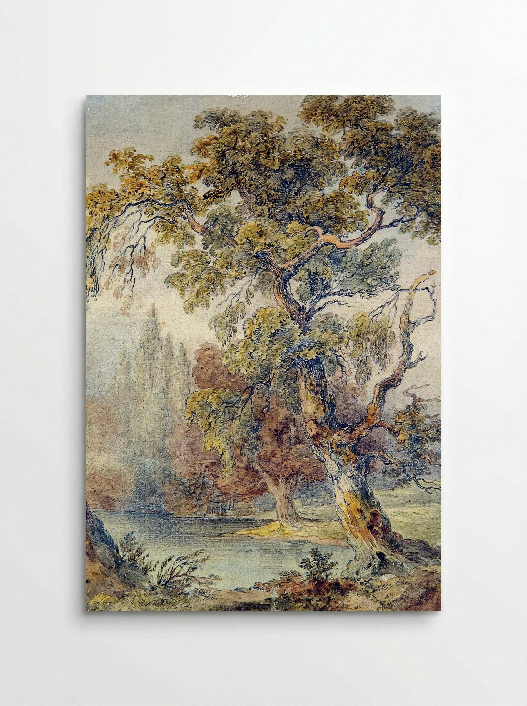 Trees and Pond - Fine Art Print - Poster