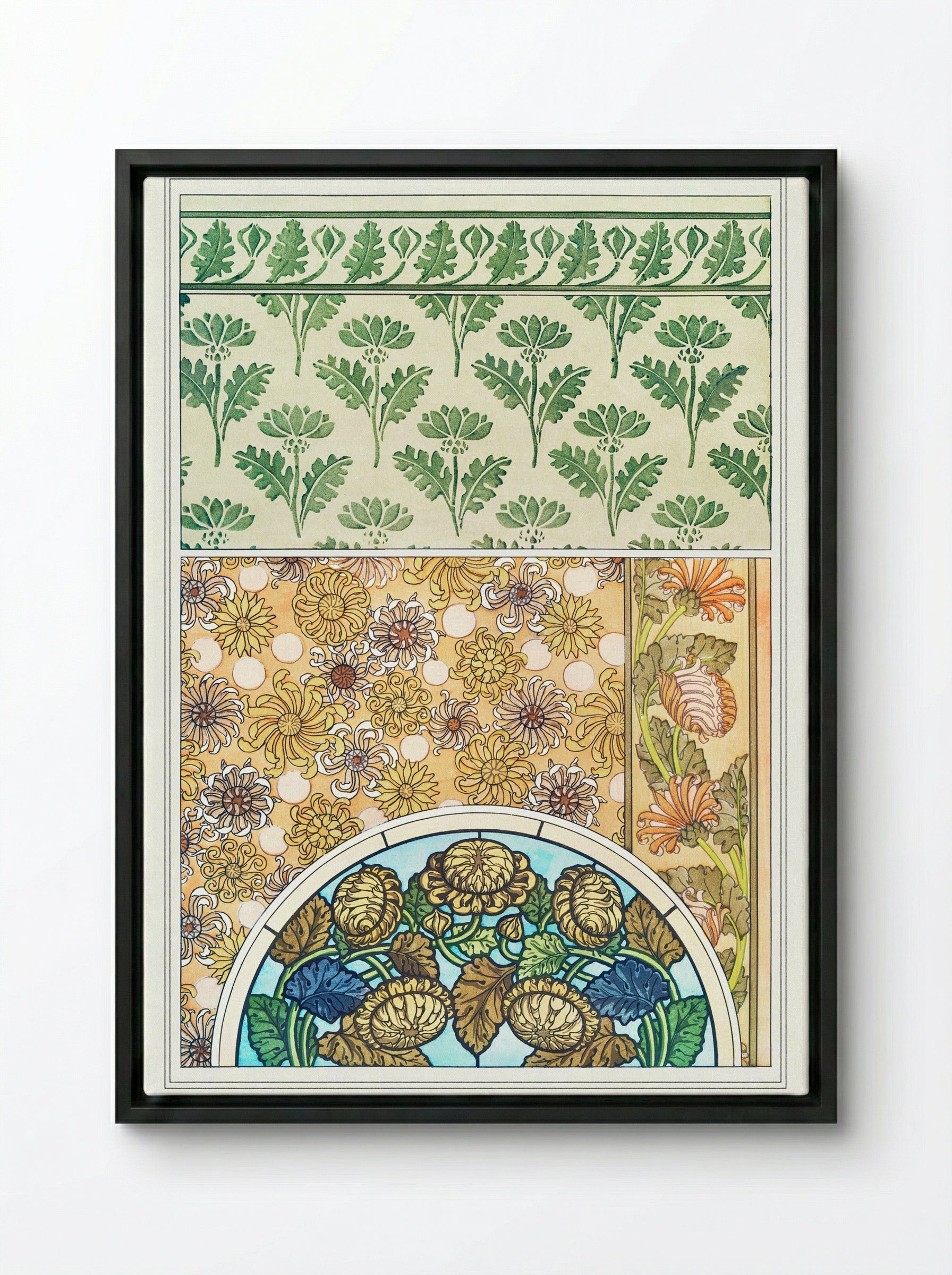 Chrysanthème (Chrysanthemum) from La Plante et ses Applications ornementales - Maurice Pillard Verneuil - Framed Canvas Black