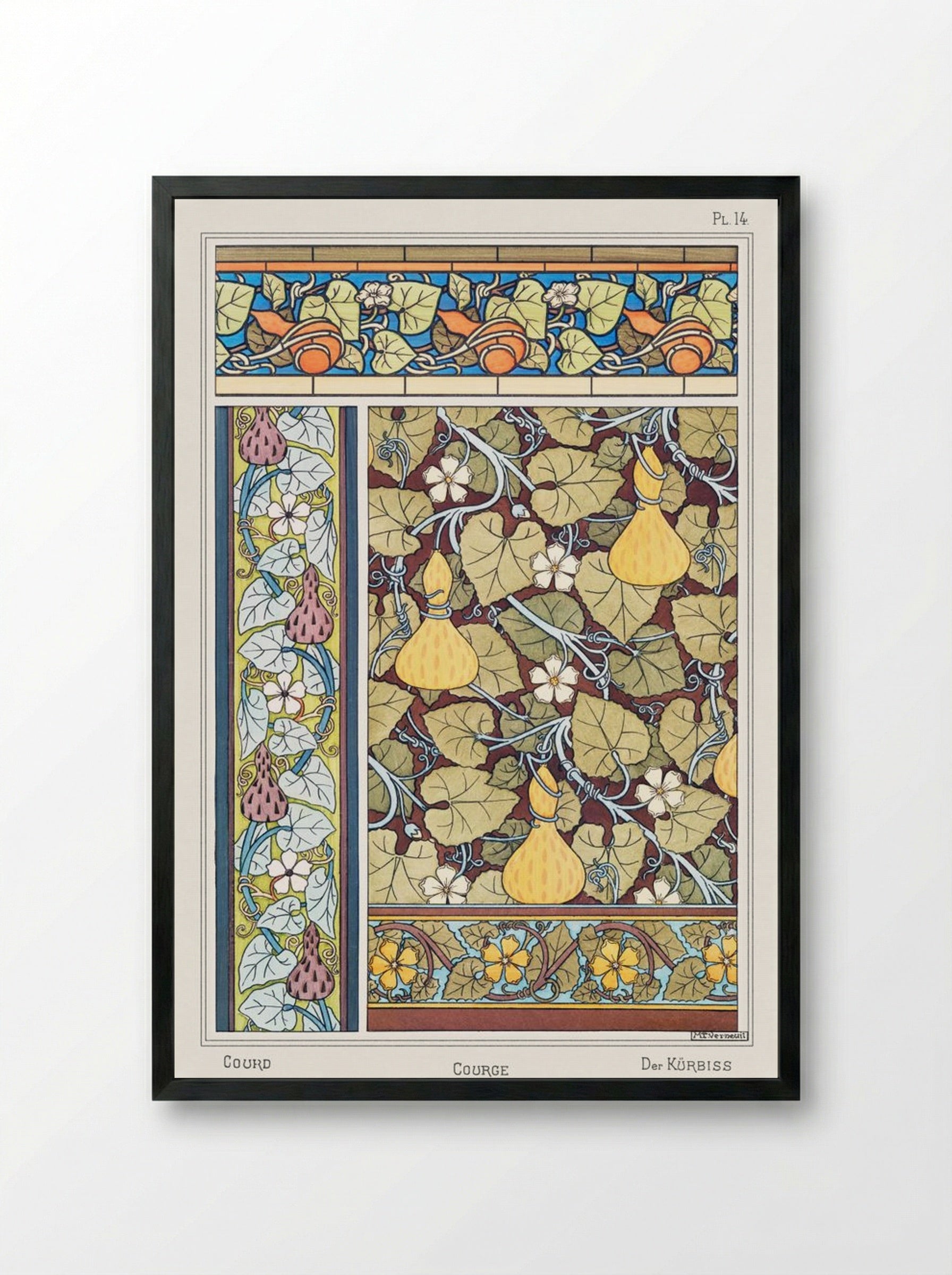 Courge (White-Flowered Gourd, from La Plante et ses Applications ornementales) - Maurice Pillard Verneuil - Framed Print Black