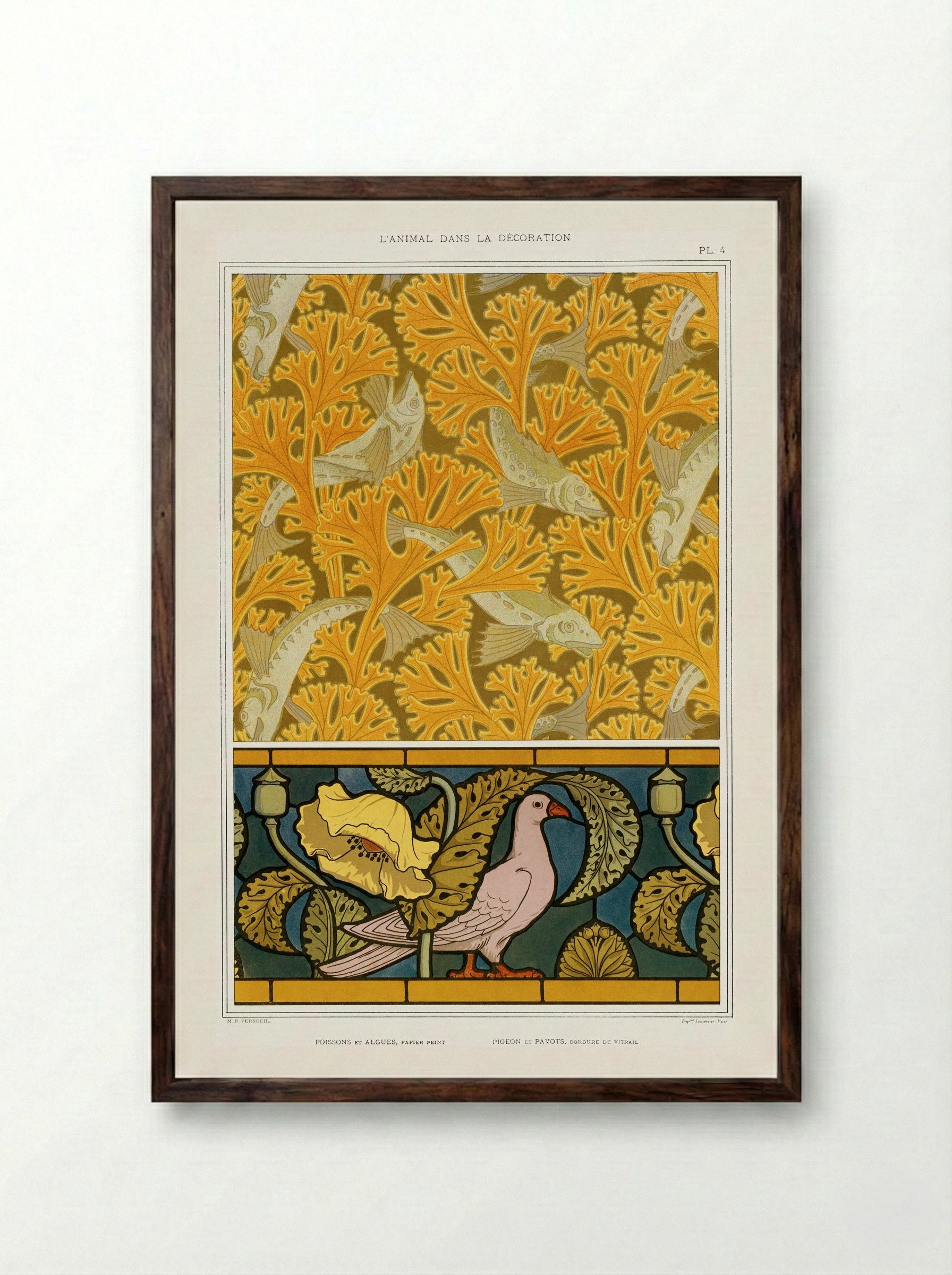 Poisson et Algues, Papier Peint / Pigeon et Pavots, Bordure de Vitrail - Maurice Pillard Verneuil - Framed Print Dark Wood