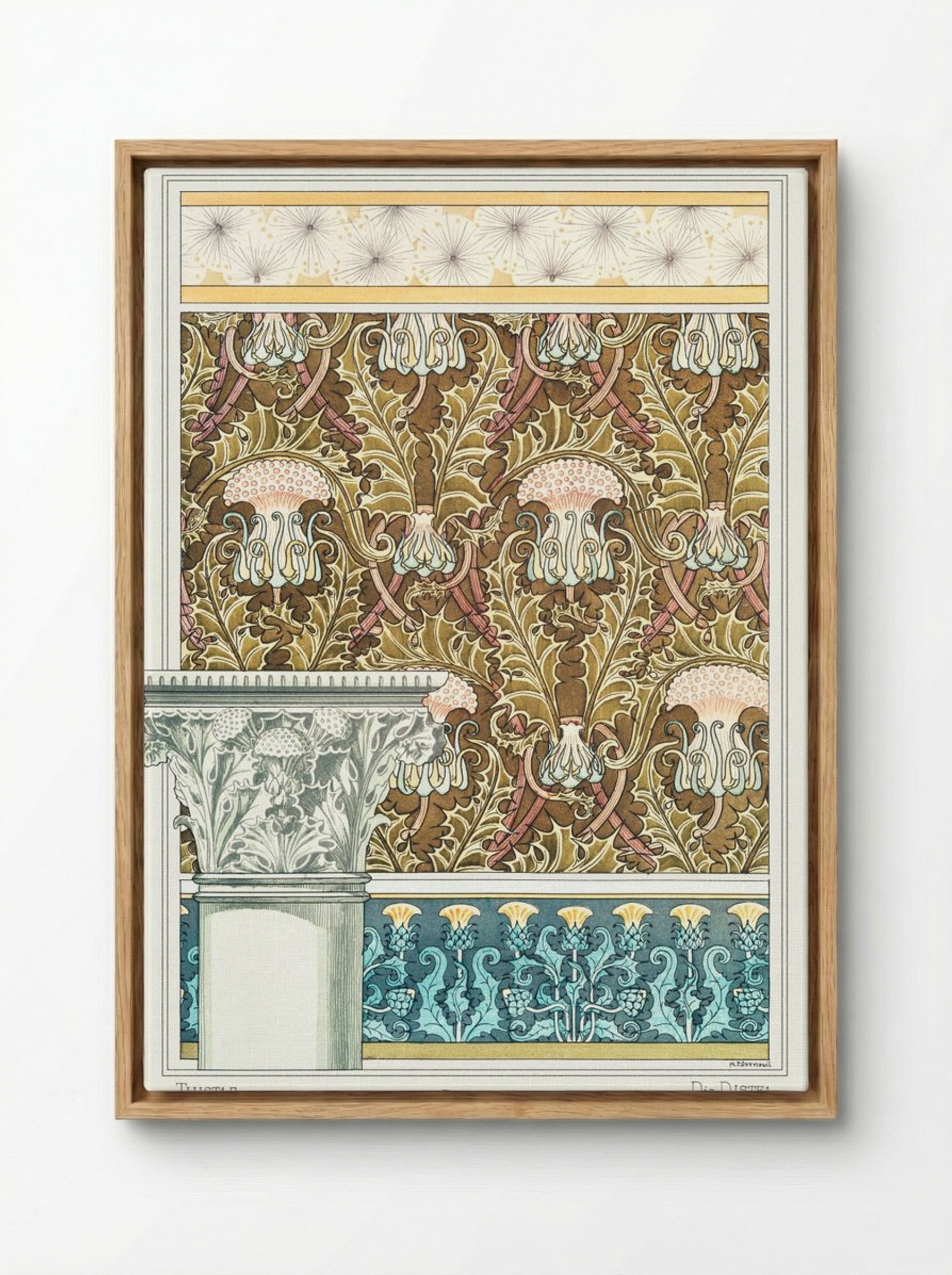 Chardon (Thistle) from La Plante et ses Applications ornementales - Maurice Pillard Verneuil - Framed Canvas Wood