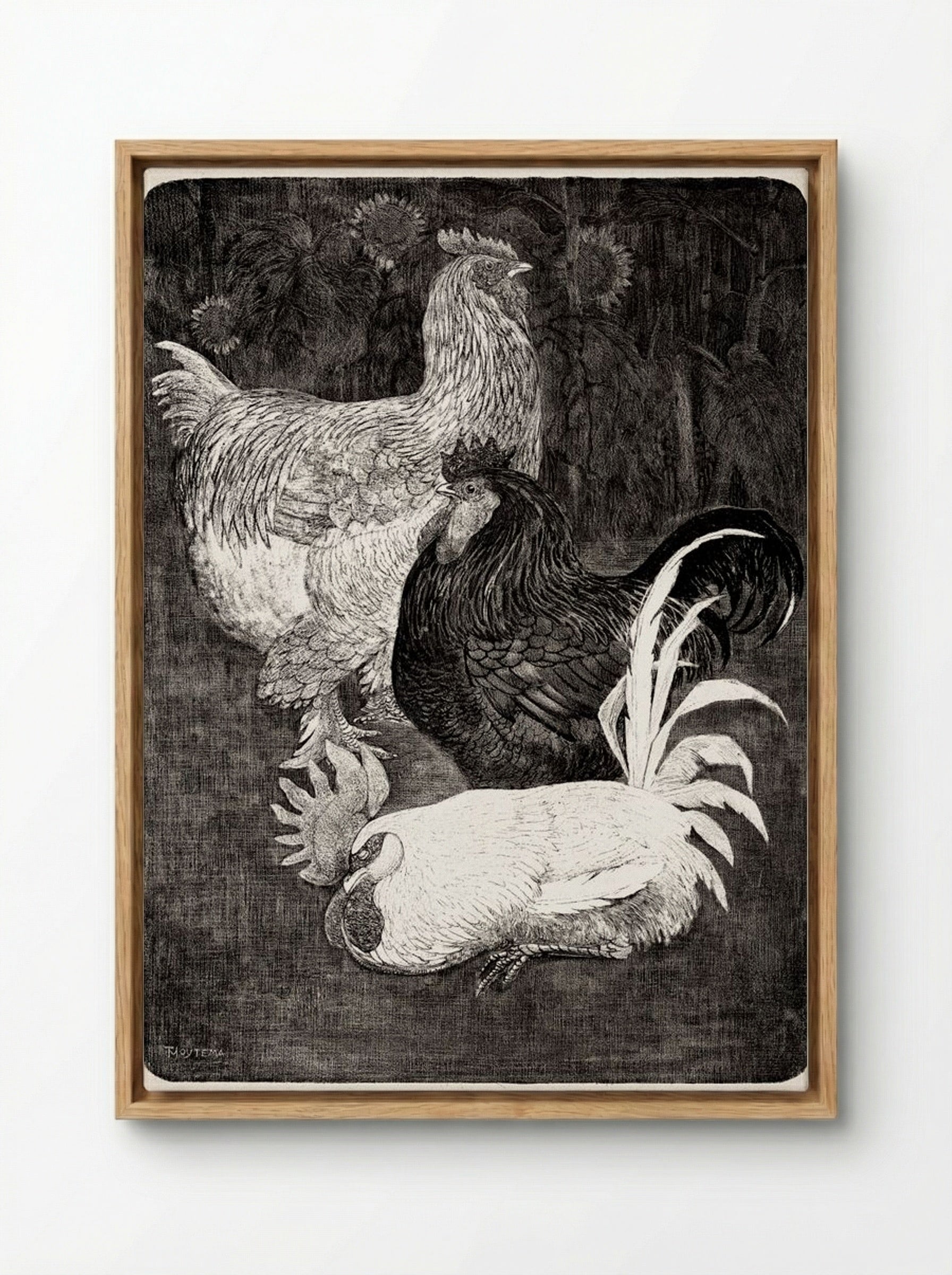 Drie Hanen (Three Roosters) - Theo van Hoytema - Framed Canvas Wood