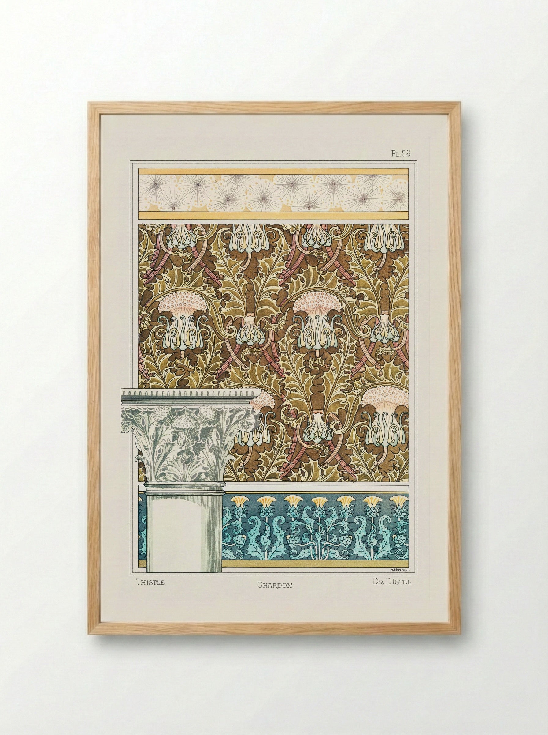 Chardon (Thistle) from La Plante et ses Applications ornementales - Maurice Pillard Verneuil - Framed Print Wood