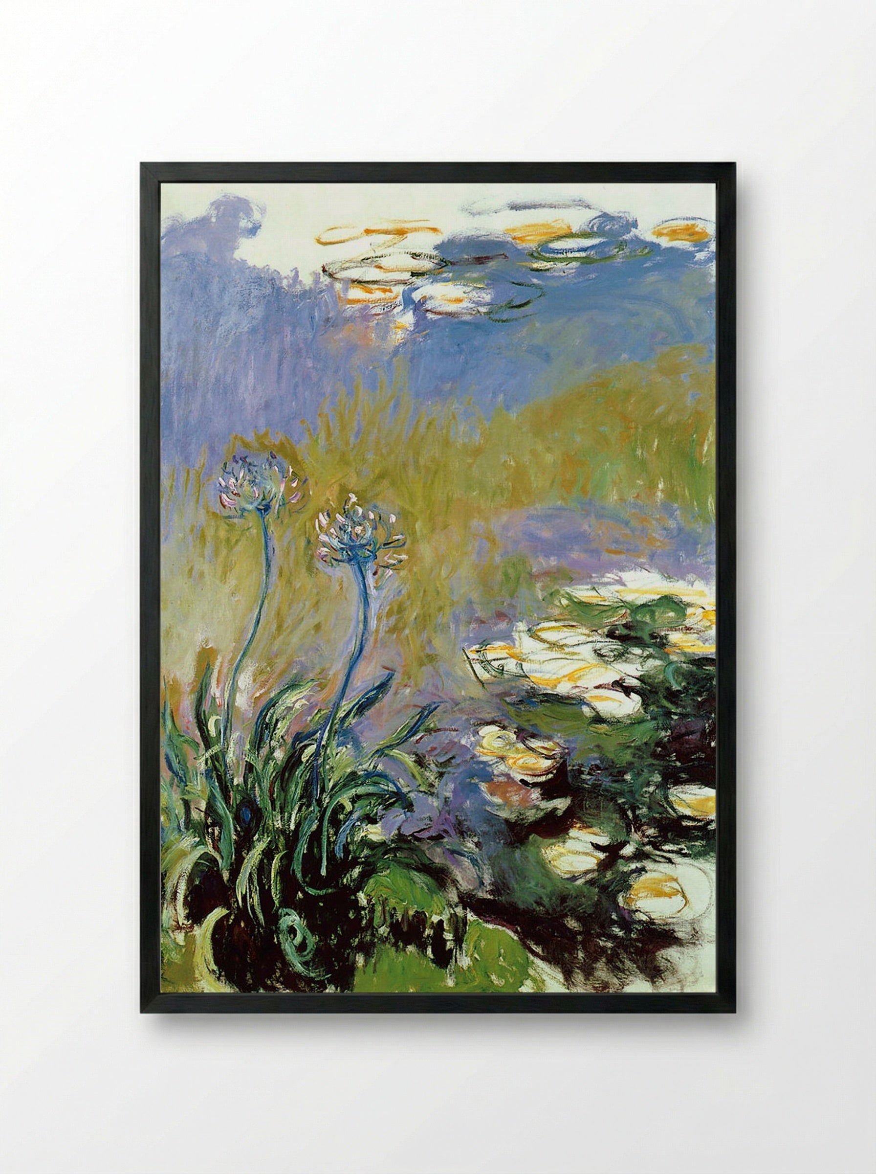 Agapanthus - Claude Monet - Framed Print Black