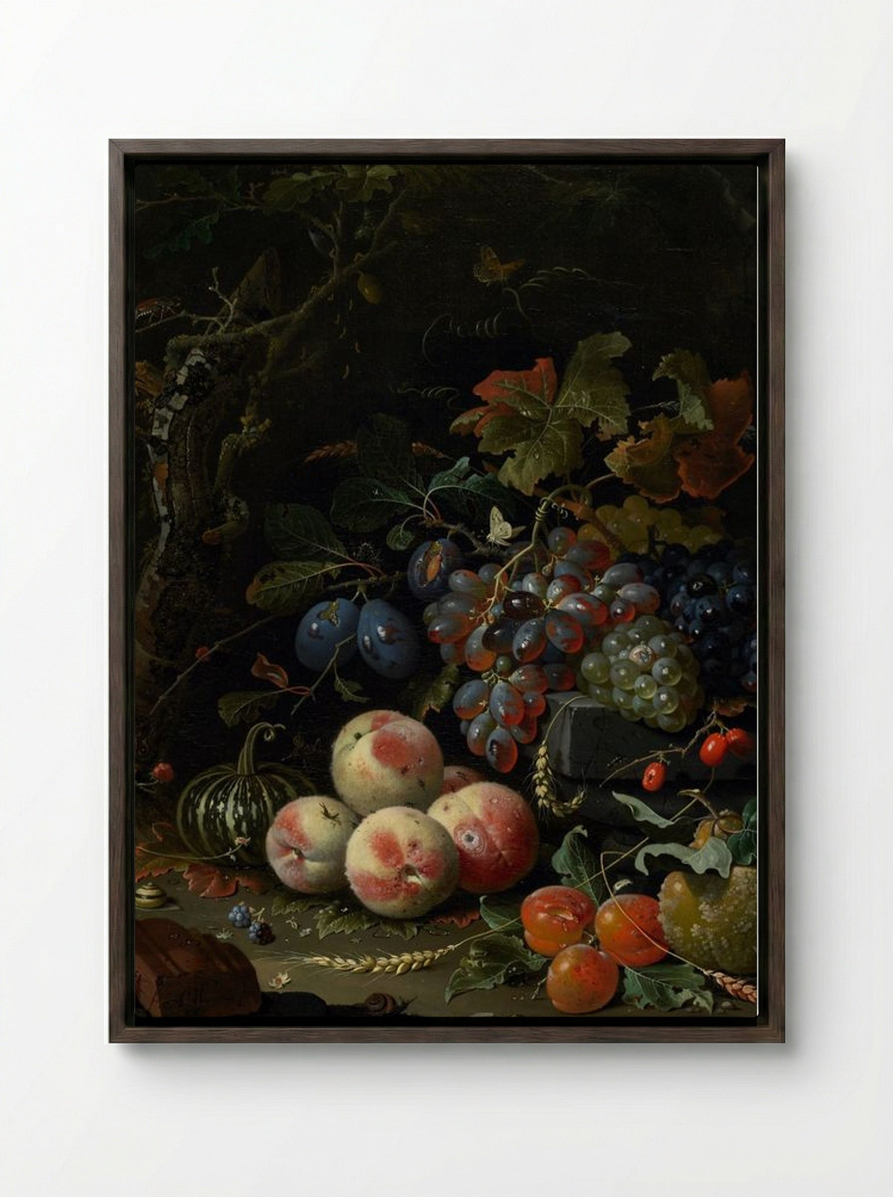 Still Life with Fruit, Foliage, and Insects - Abraham Mignon - Framed Canvas Dark Wood