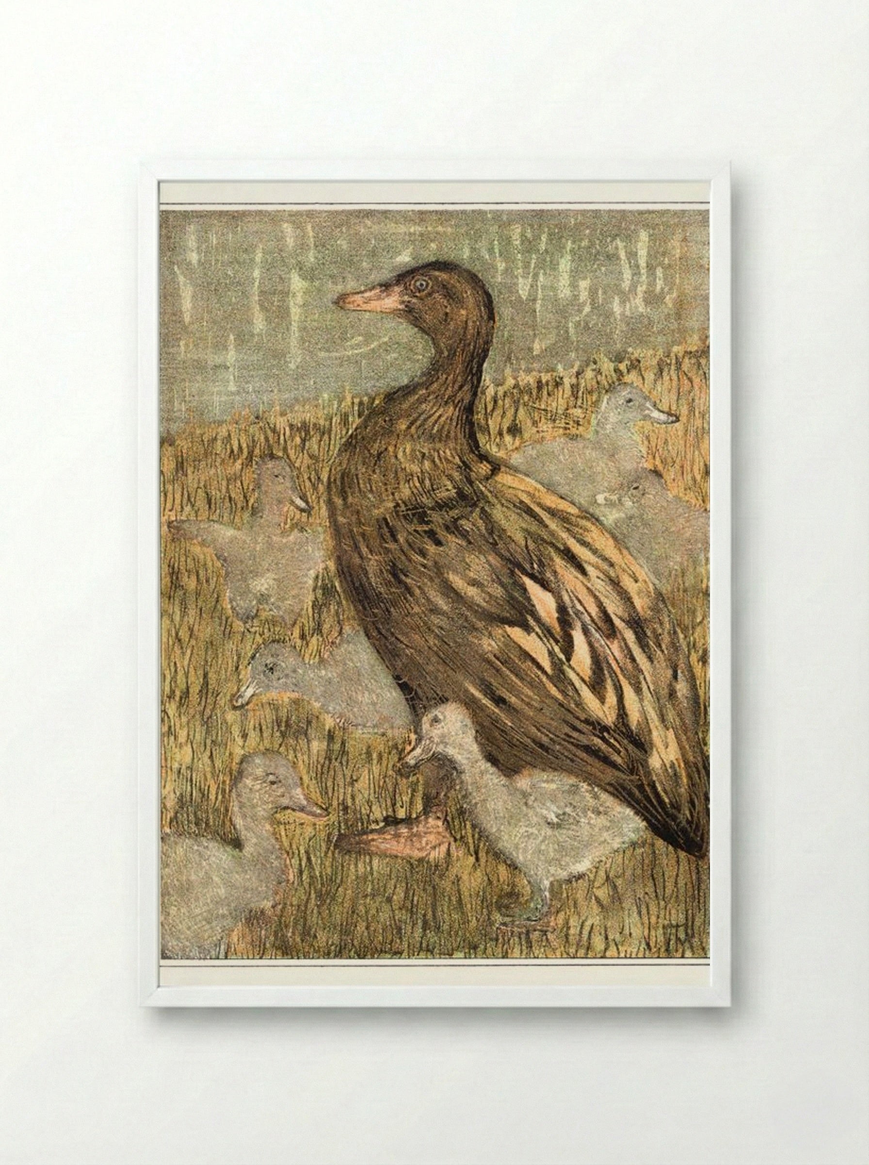 Duck with Ducklings by the Waterside - Theo van Hoytema - Framed Print White