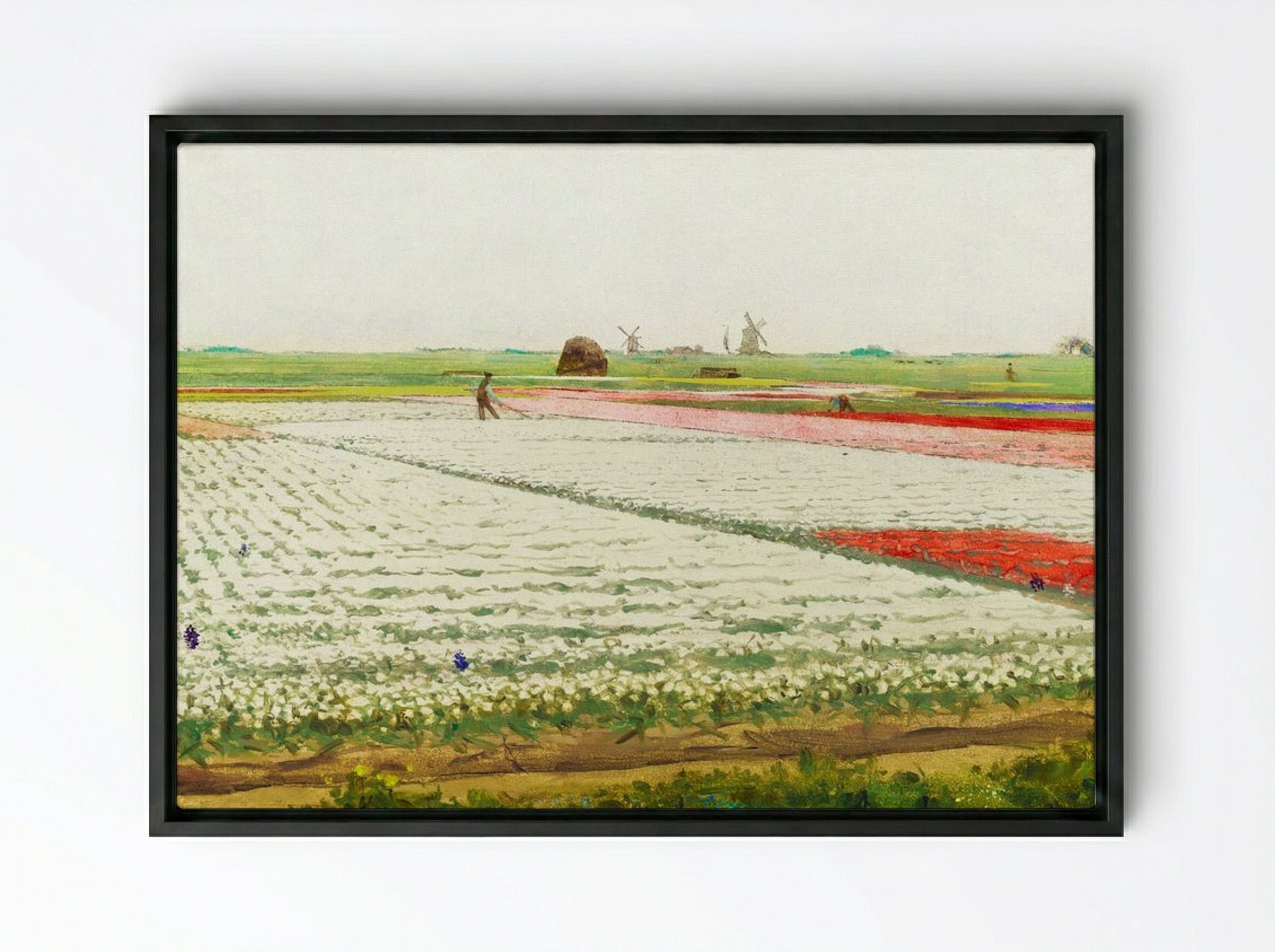 Tulip Fields - Gerrit Willem Dijsselhof - Framed Canvas Black