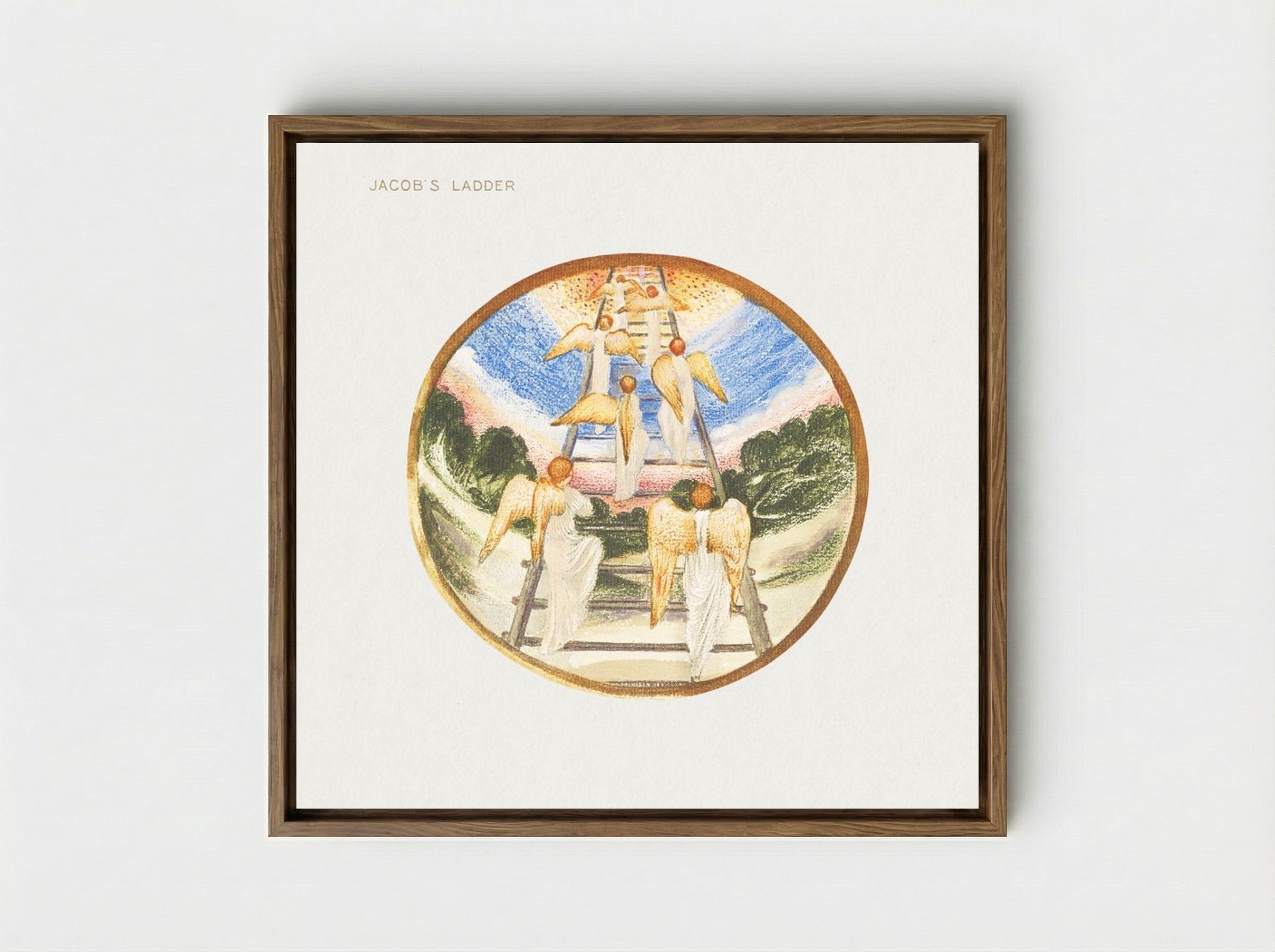 Jacob's Ladder from The Flower Book - Edward Burne-Jones - Framed Canvas Wood