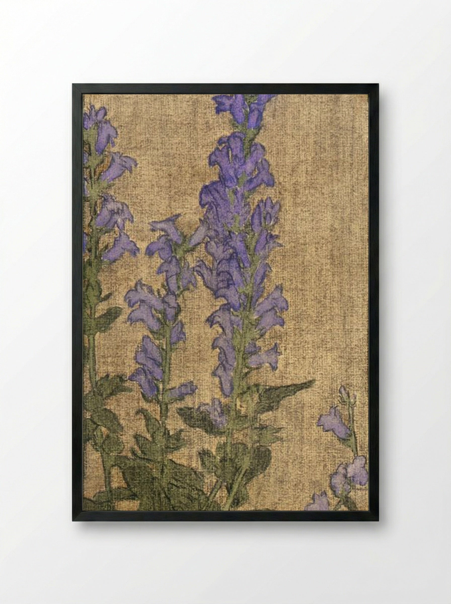 Delphinium - Hannah Borger Overbeck - Framed Print Black