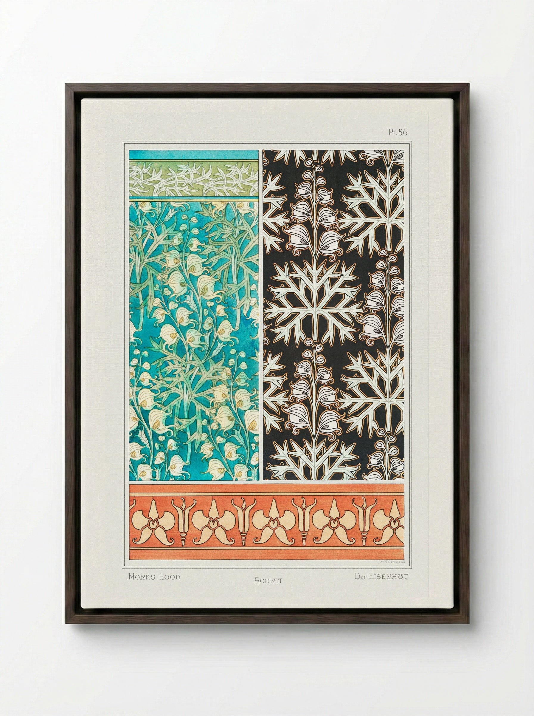Aconite (Monkshood) from La Plante et ses Applications ornementales - Maurice Pillard Verneuil - Framed Canvas Dark Wood