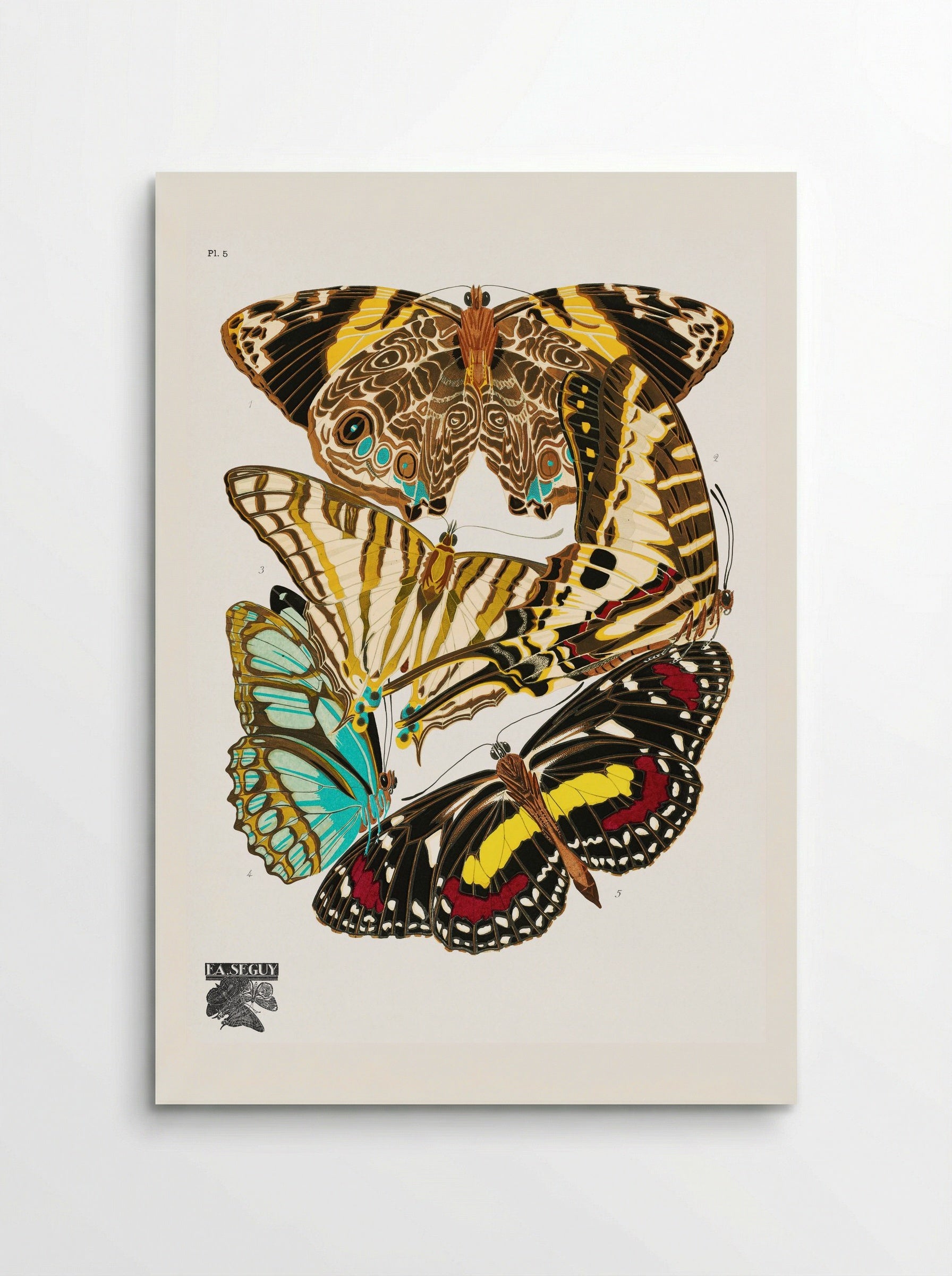 Butterflies, Plate 5 - Émile-Allain Séguy - Poster