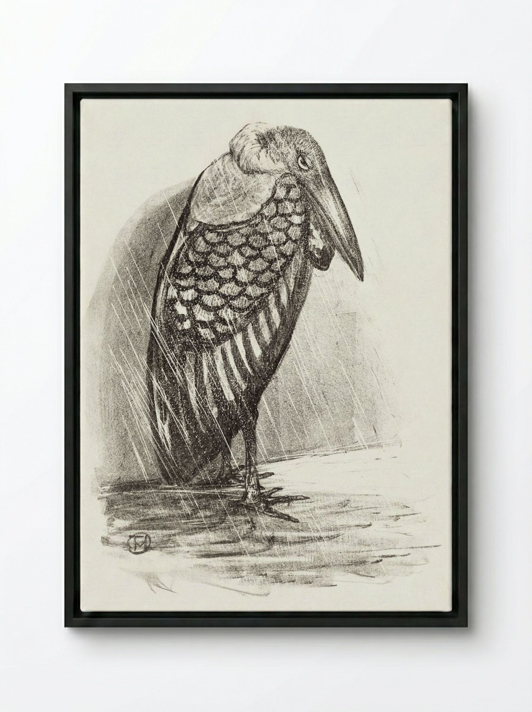 Marabou in the Rain - Theo van Hoytema - Framed Canvas Black