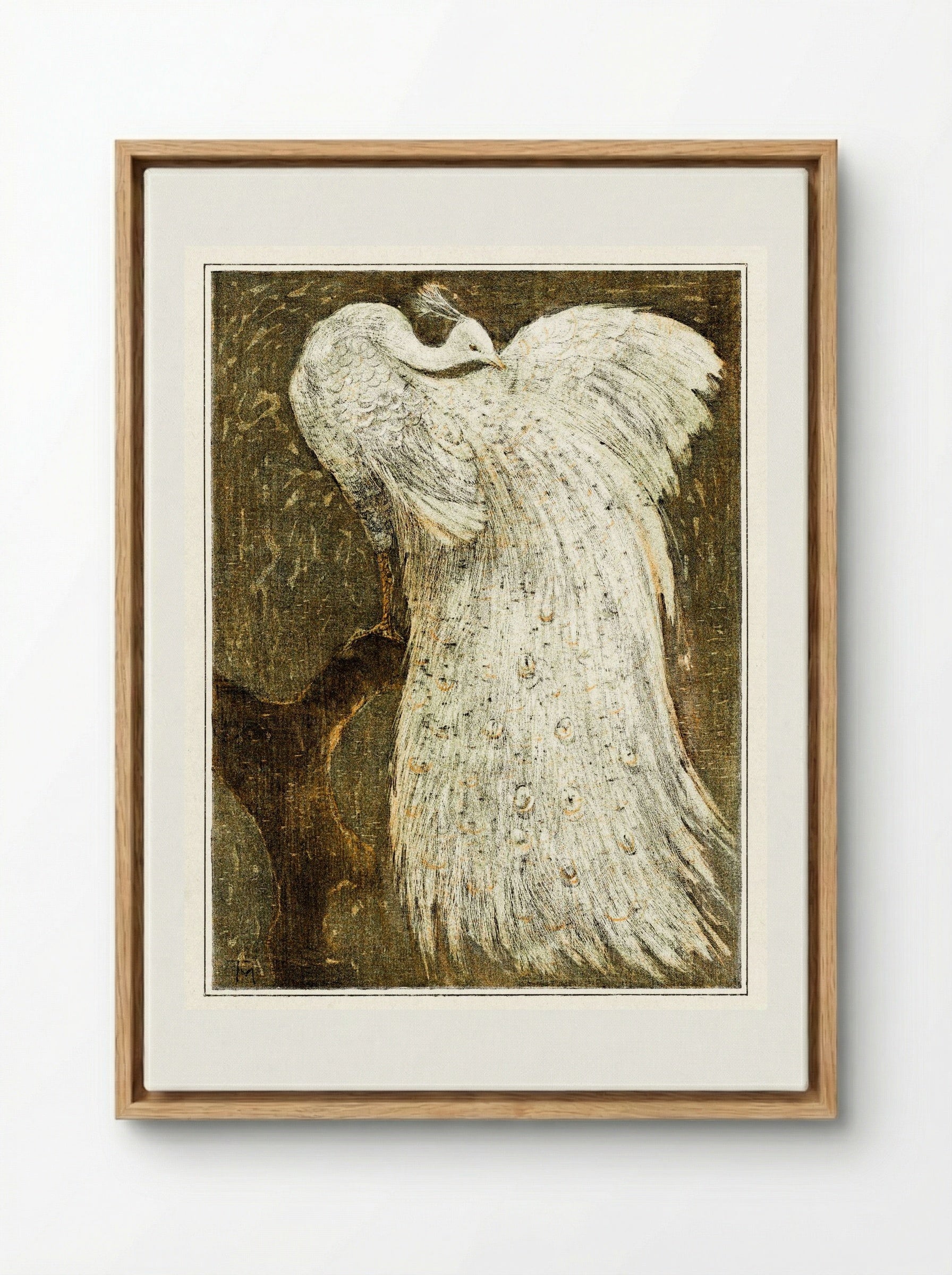 White Peacock on a Branch - Theo van Hoytema - Framed Canvas Wood