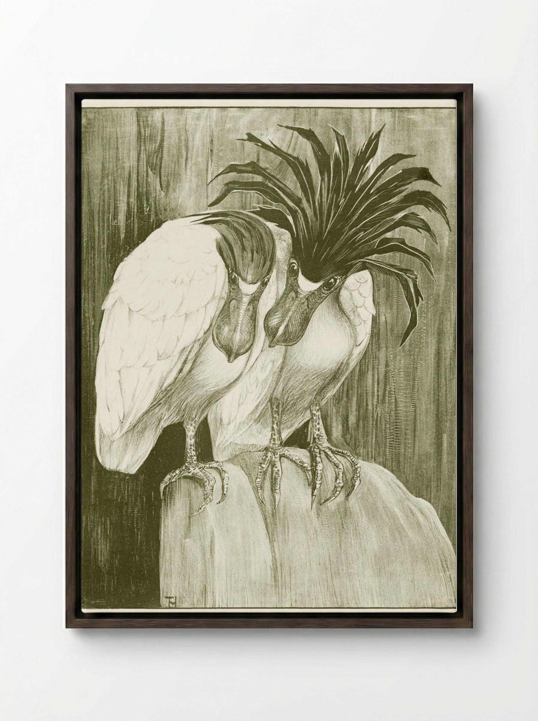 Two Boat-billed Herons - Theo van Hoytema - Framed Canvas Dark Wood