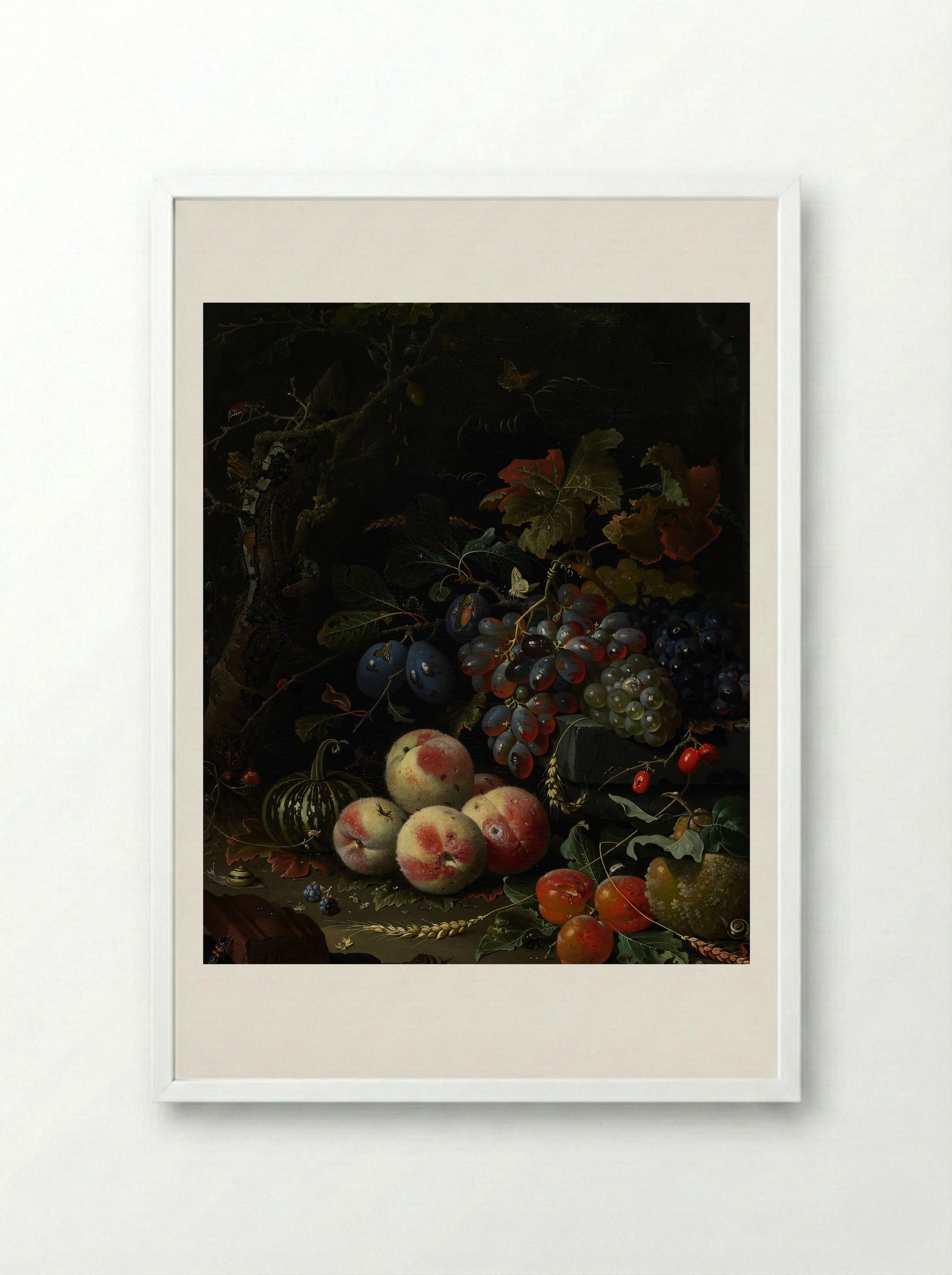 Still Life with Fruit, Foliage, and Insects - Abraham Mignon - Framed Print White