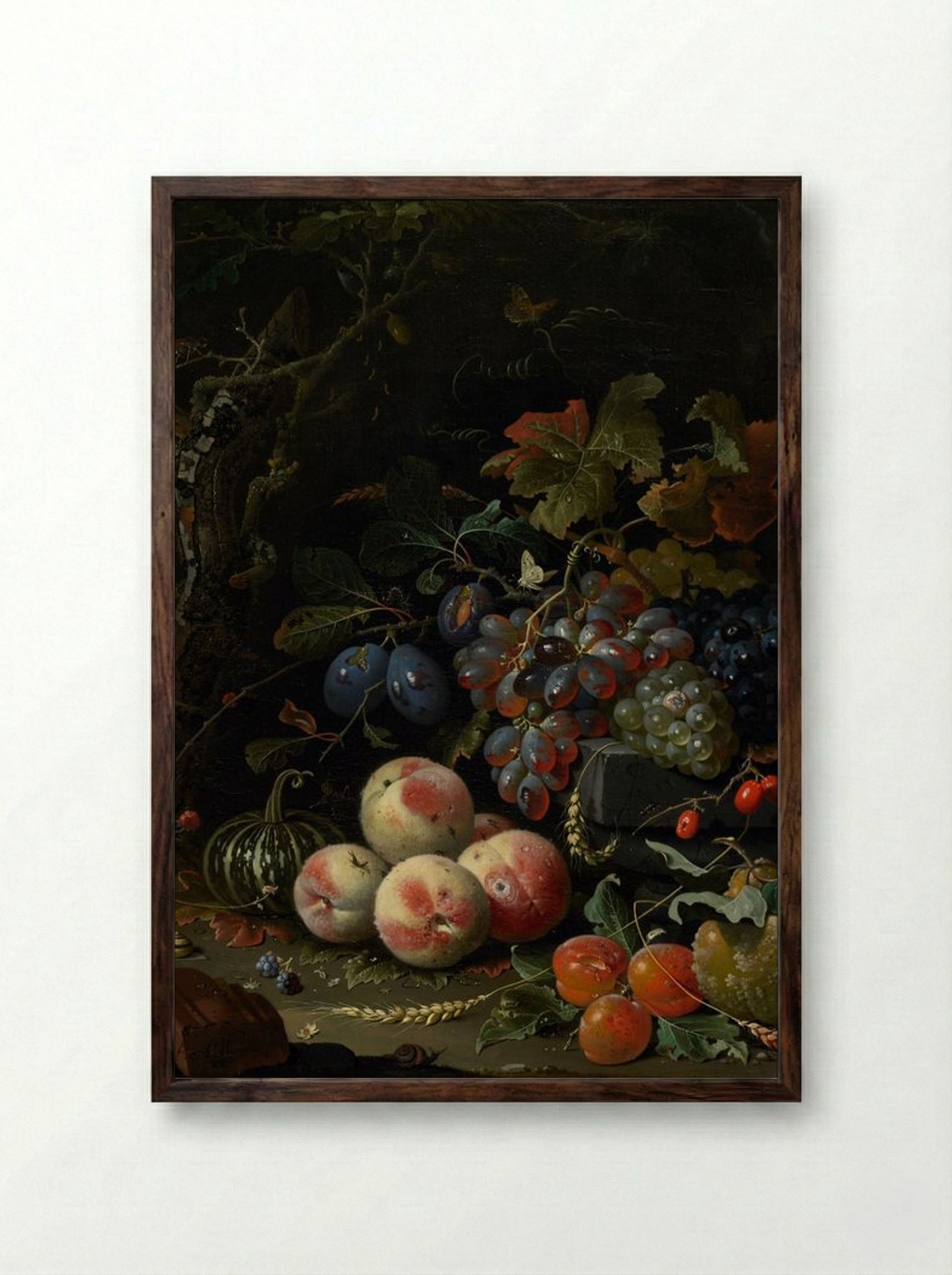 Still Life with Fruit, Foliage, and Insects - Abraham Mignon - Framed Print Dark Wood