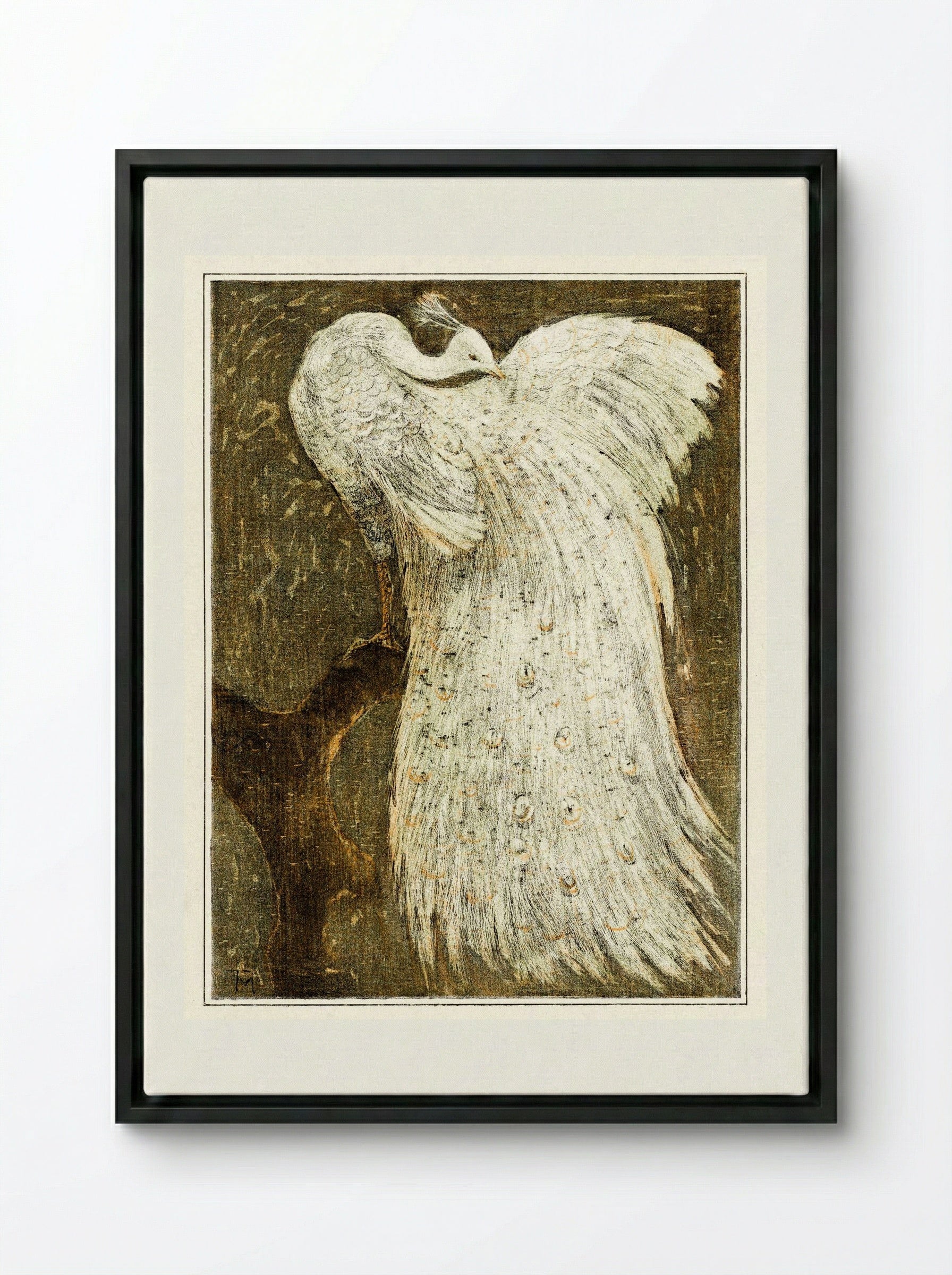 White Peacock on a Branch - Theo van Hoytema - Framed Canvas Black