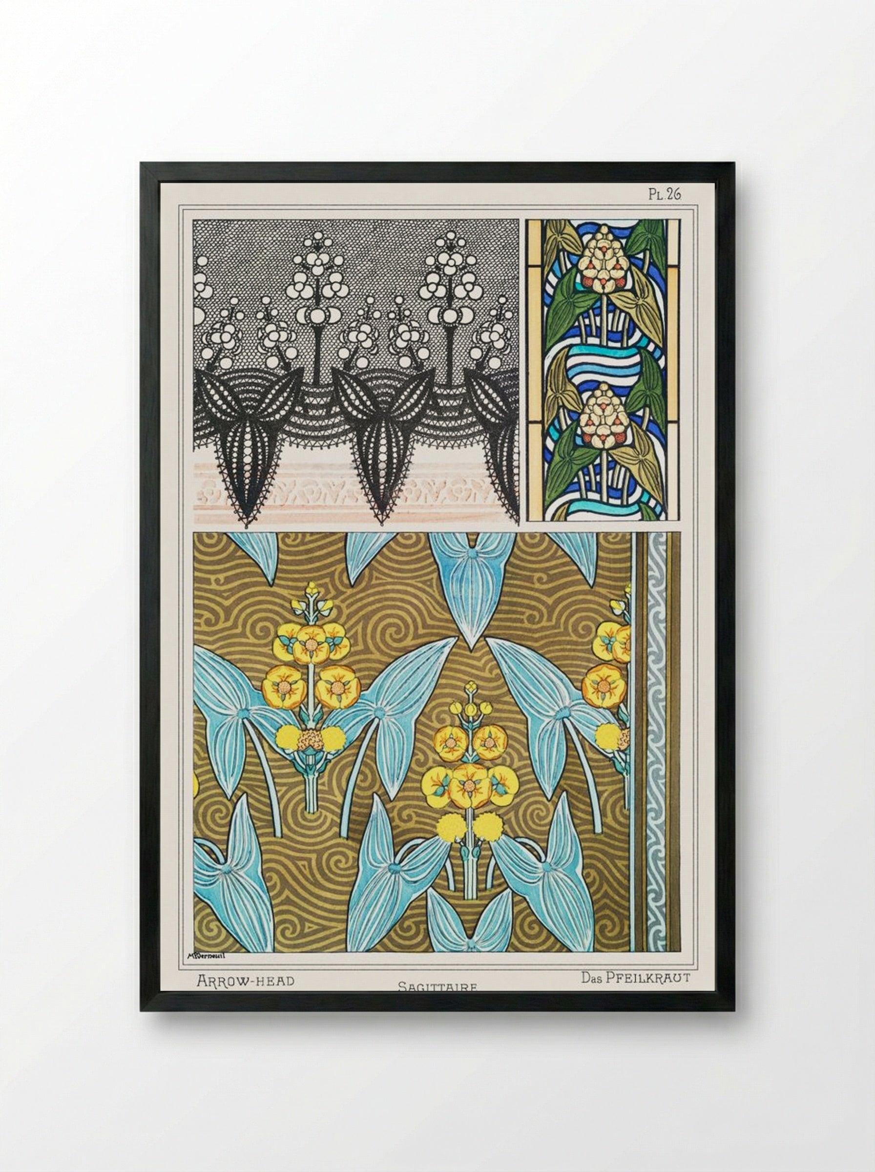 Sagittaire (Arrowhead) from La Plante et ses Applications ornementales - Maurice Pillard Verneuil - Framed Print Black