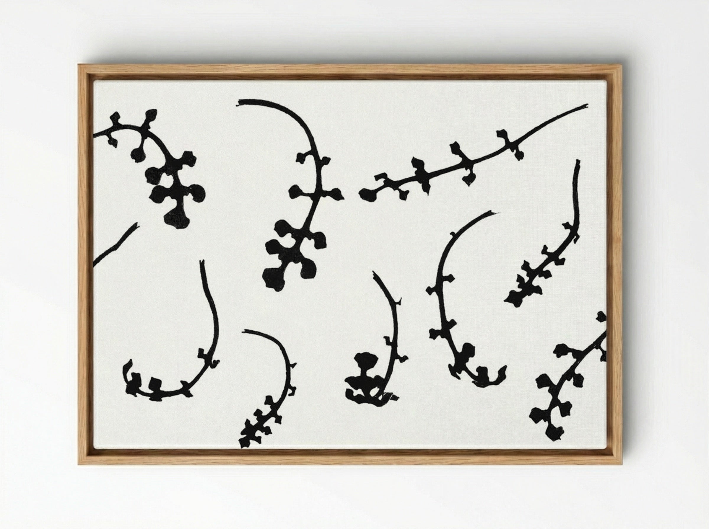 Root Rosettes of the Pentecostal Flower - Julie de Graag - Framed Canvas Wood