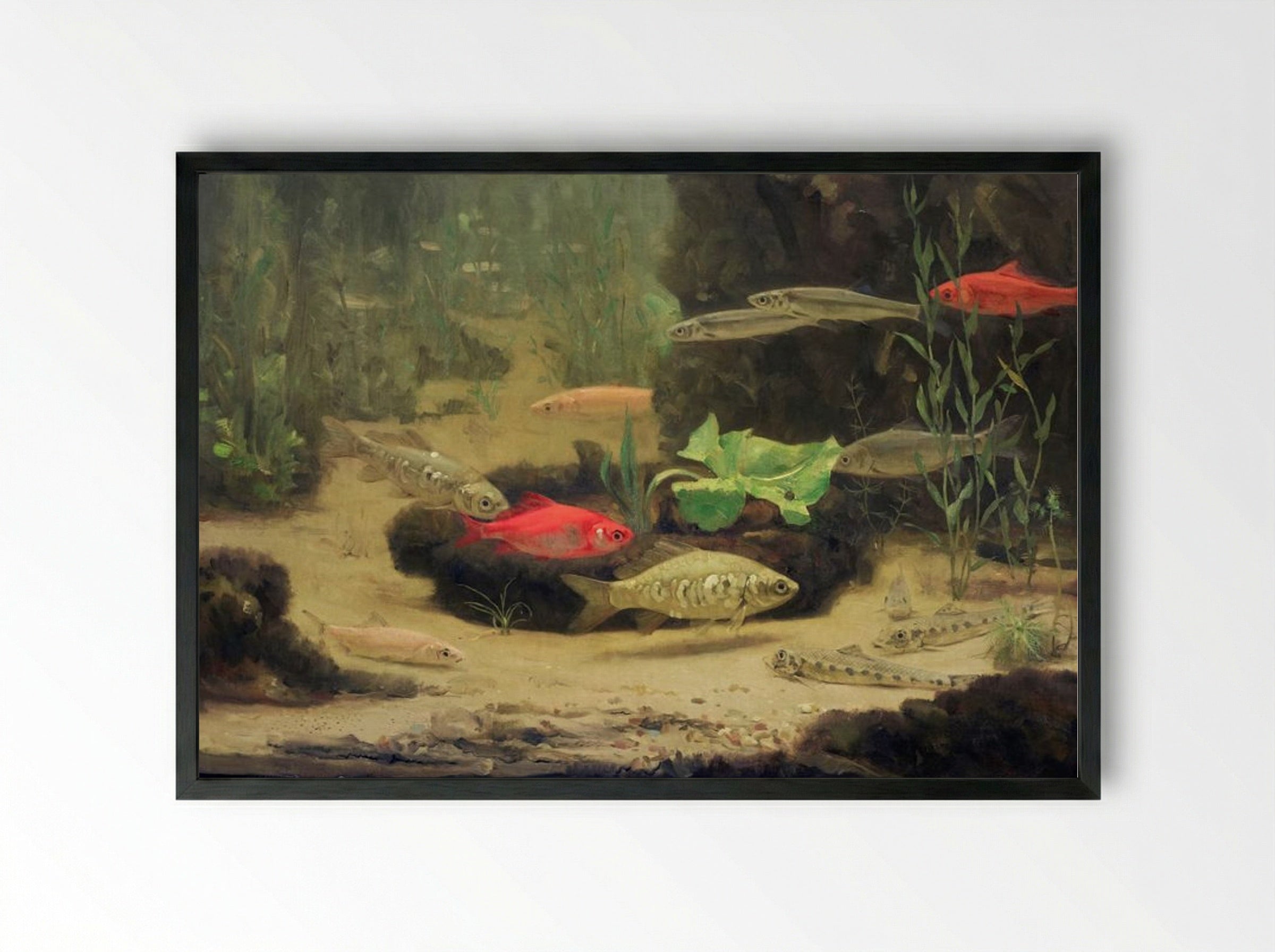 Gold and Silverfish in an Aquarium - Gerrit Willem Dijsselhof - Framed Print Black