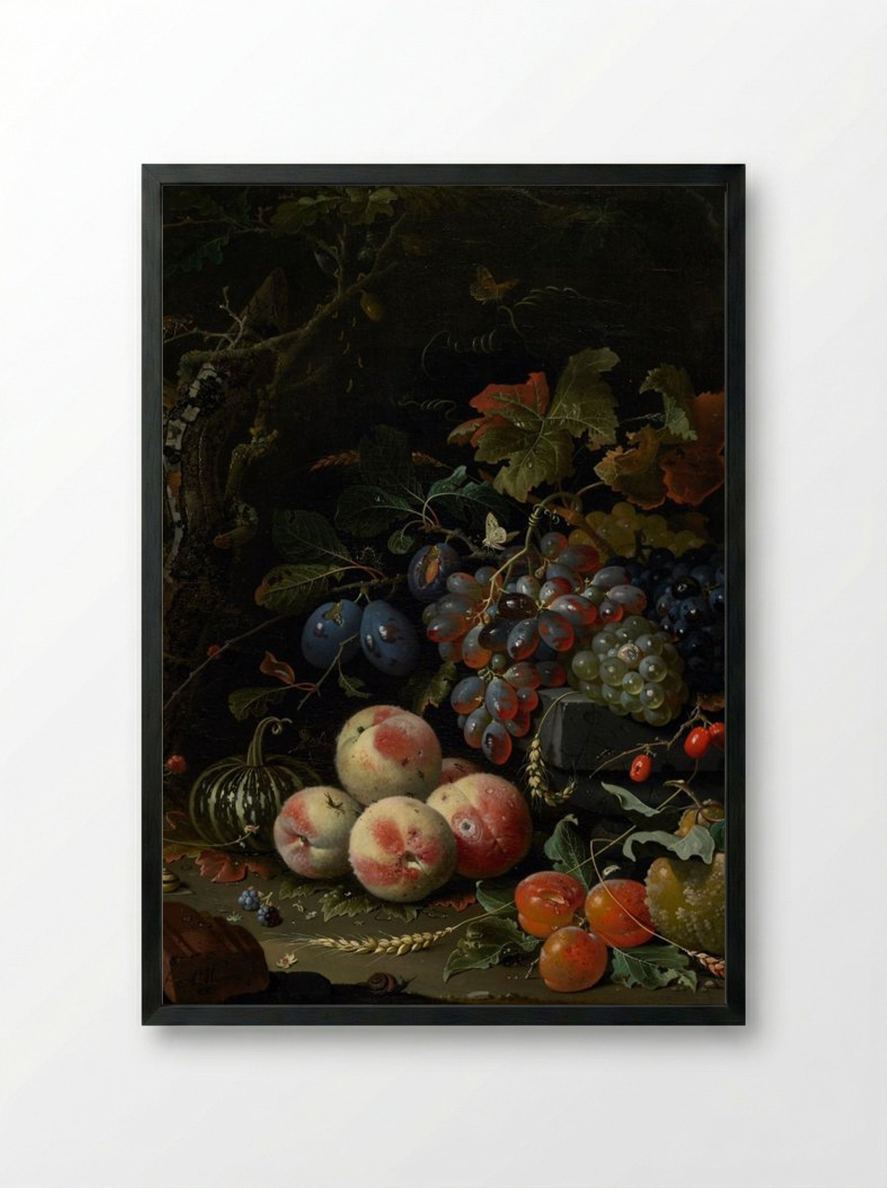 Still Life with Fruit, Foliage, and Insects - Abraham Mignon - Framed Print Black