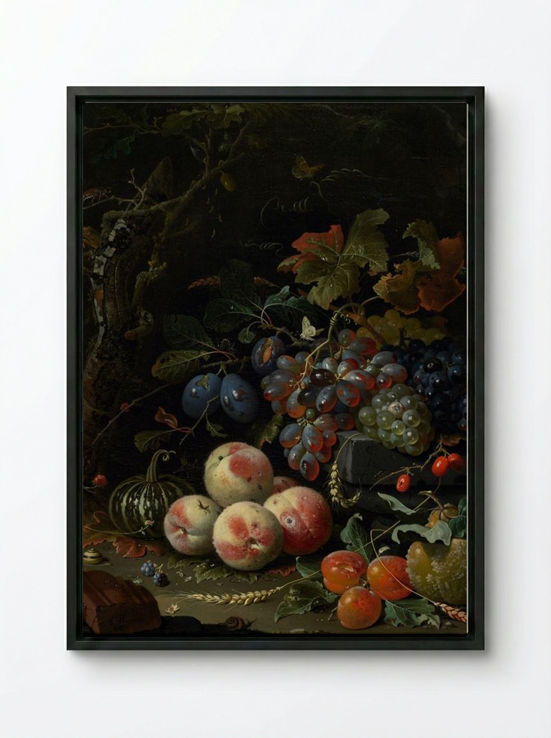 Still Life with Fruit, Foliage, and Insects - Abraham Mignon - Framed Canvas Black