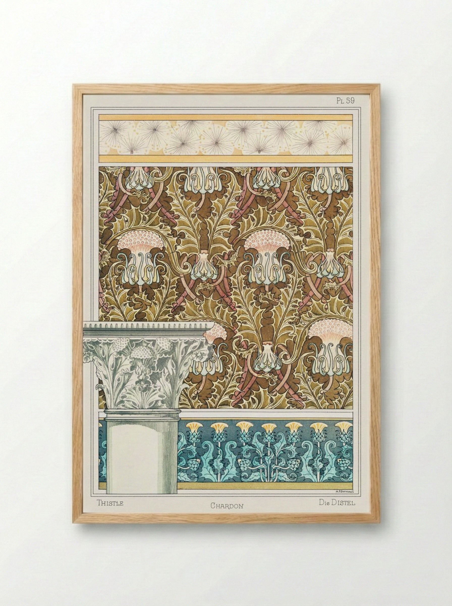 Chardon (Thistle) from La Plante et ses Applications ornementales - Maurice Pillard Verneuil - Framed Print Wood