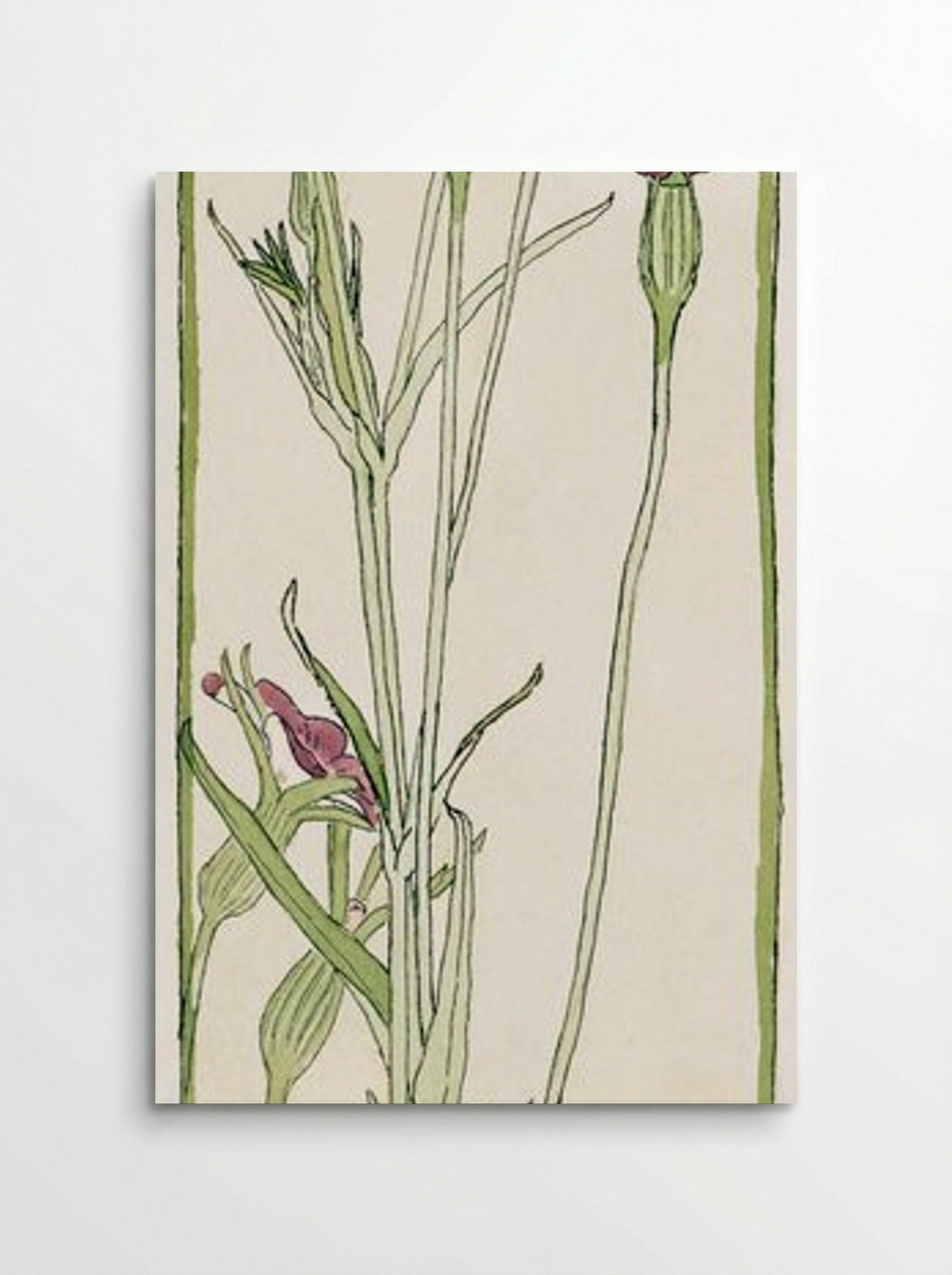 Corn Cockle - Hannah Borger Overbeck - Poster