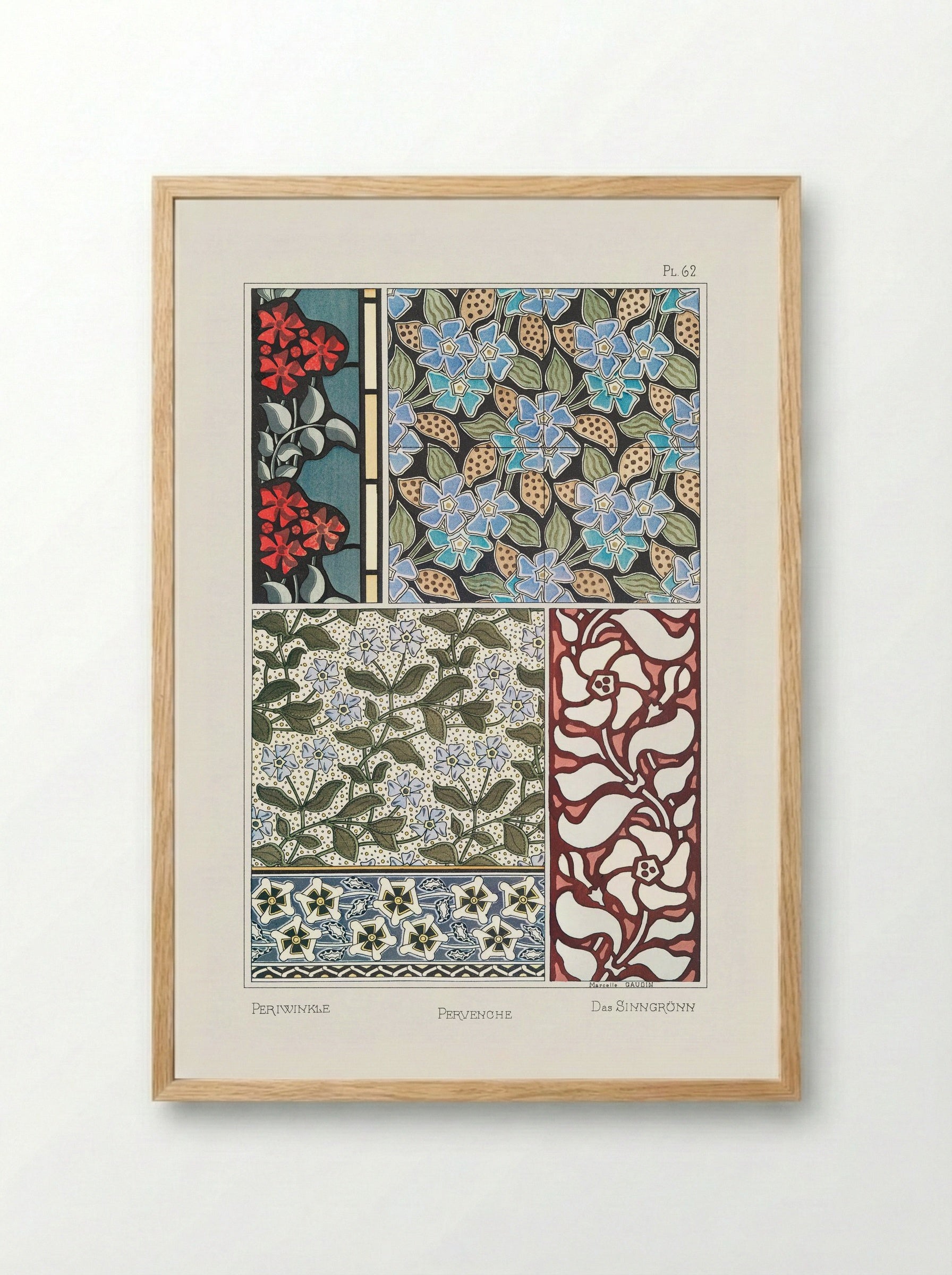 Pervenche (Periwinkle) from La Plante et ses Applications ornementales - Maurice Pillard Verneuil - Framed Print Wood
