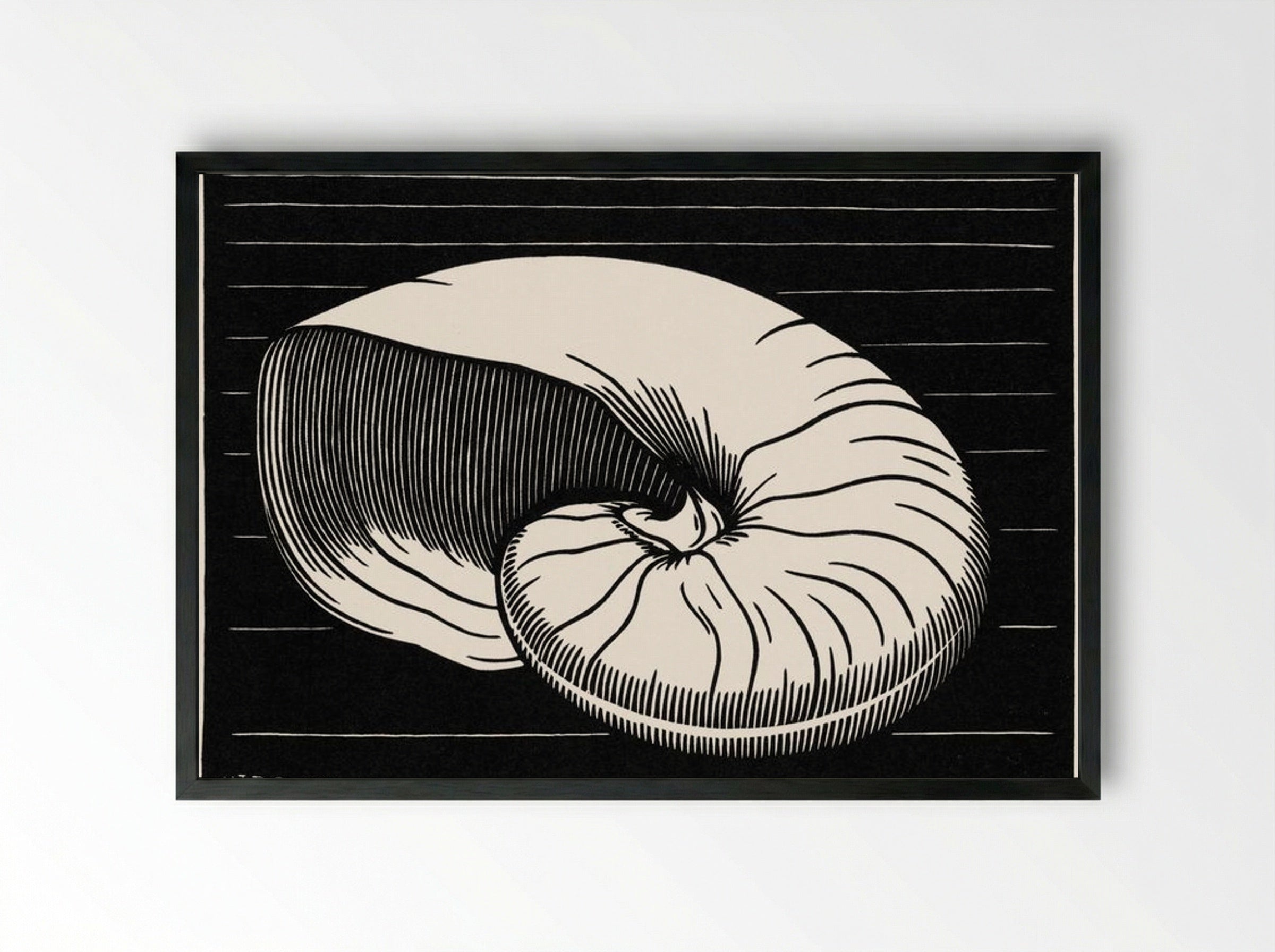 Shell - Julie de Graag - Framed Print Black