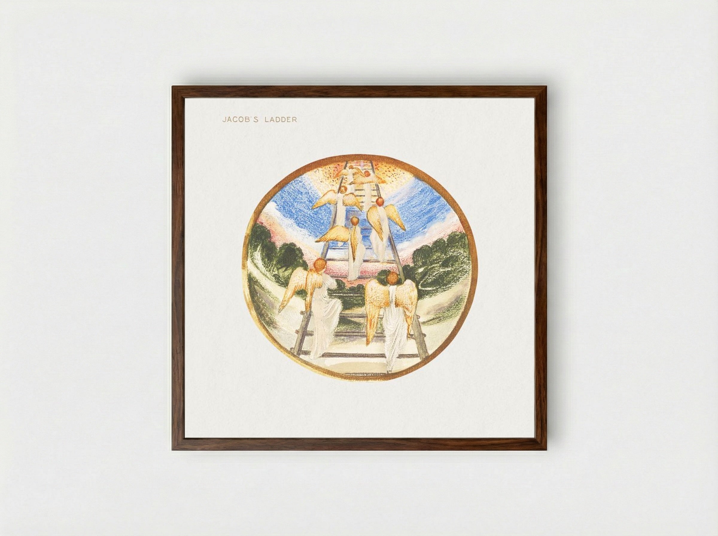 Jacob's Ladder from The Flower Book - Edward Burne-Jones - Framed Print Dark Wood