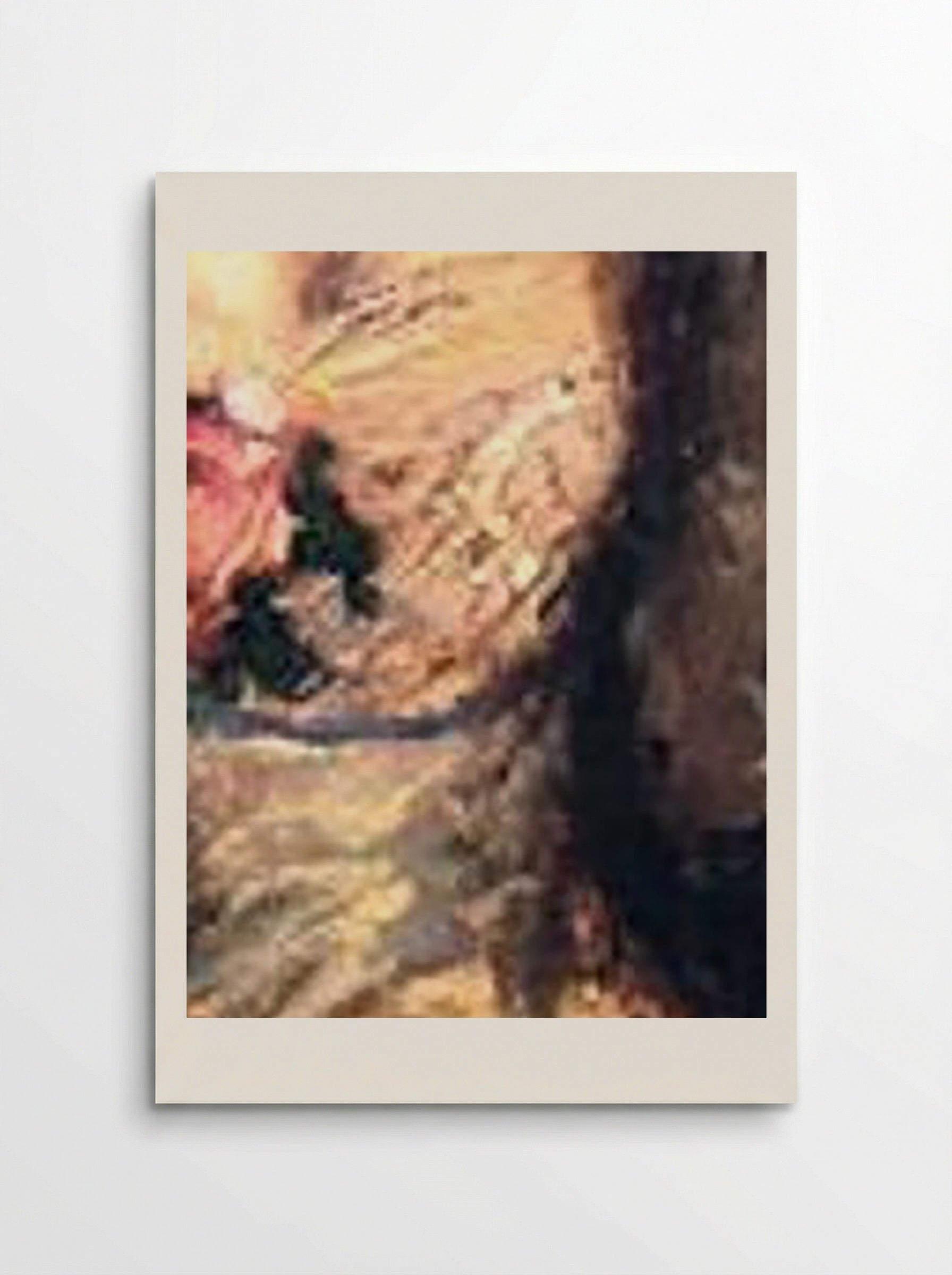 Misia - Pierre Bonnard - Poster