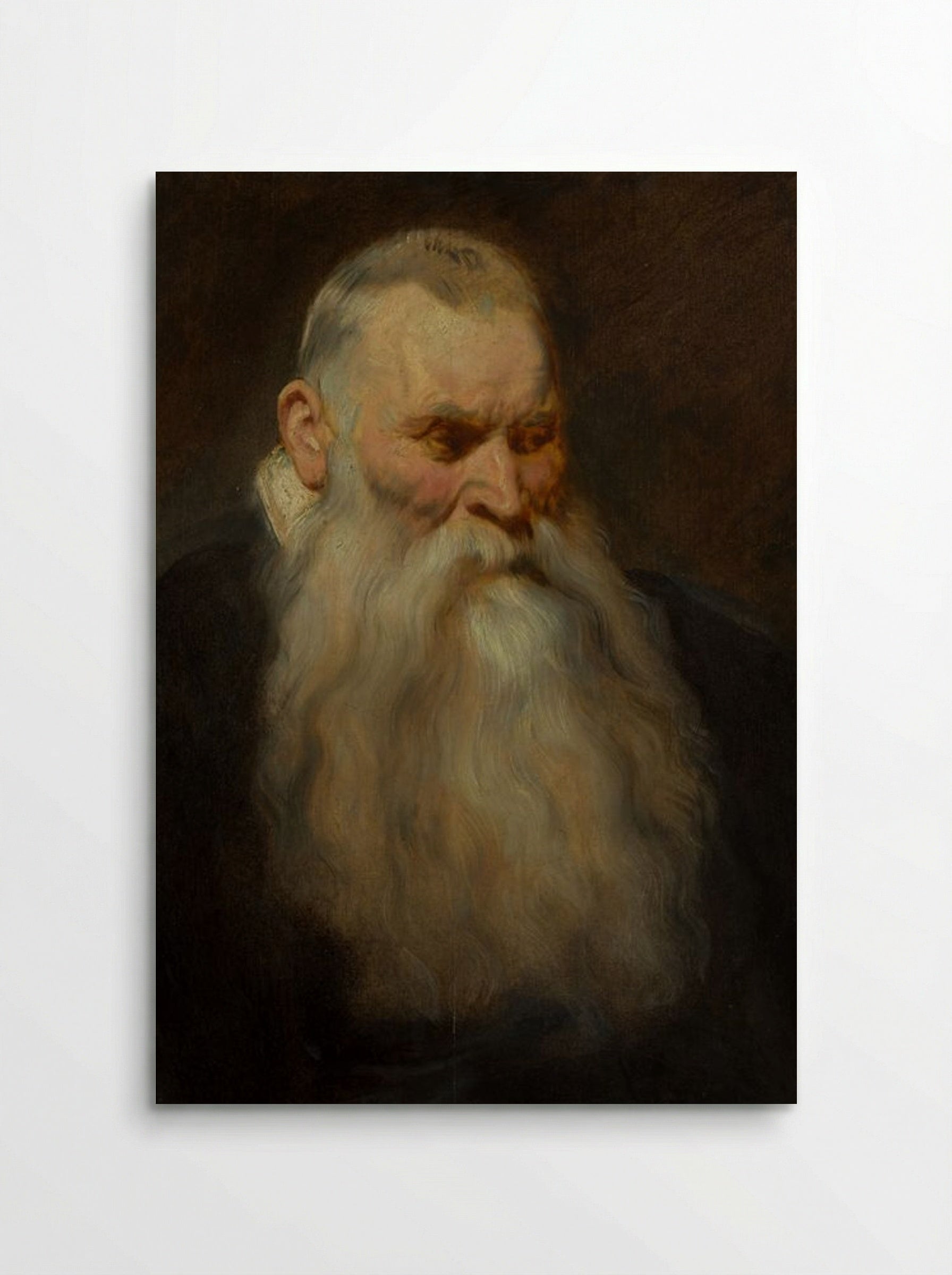 Study: Head of an Old Man with a White Beard - Anthony van Dyck - Poster