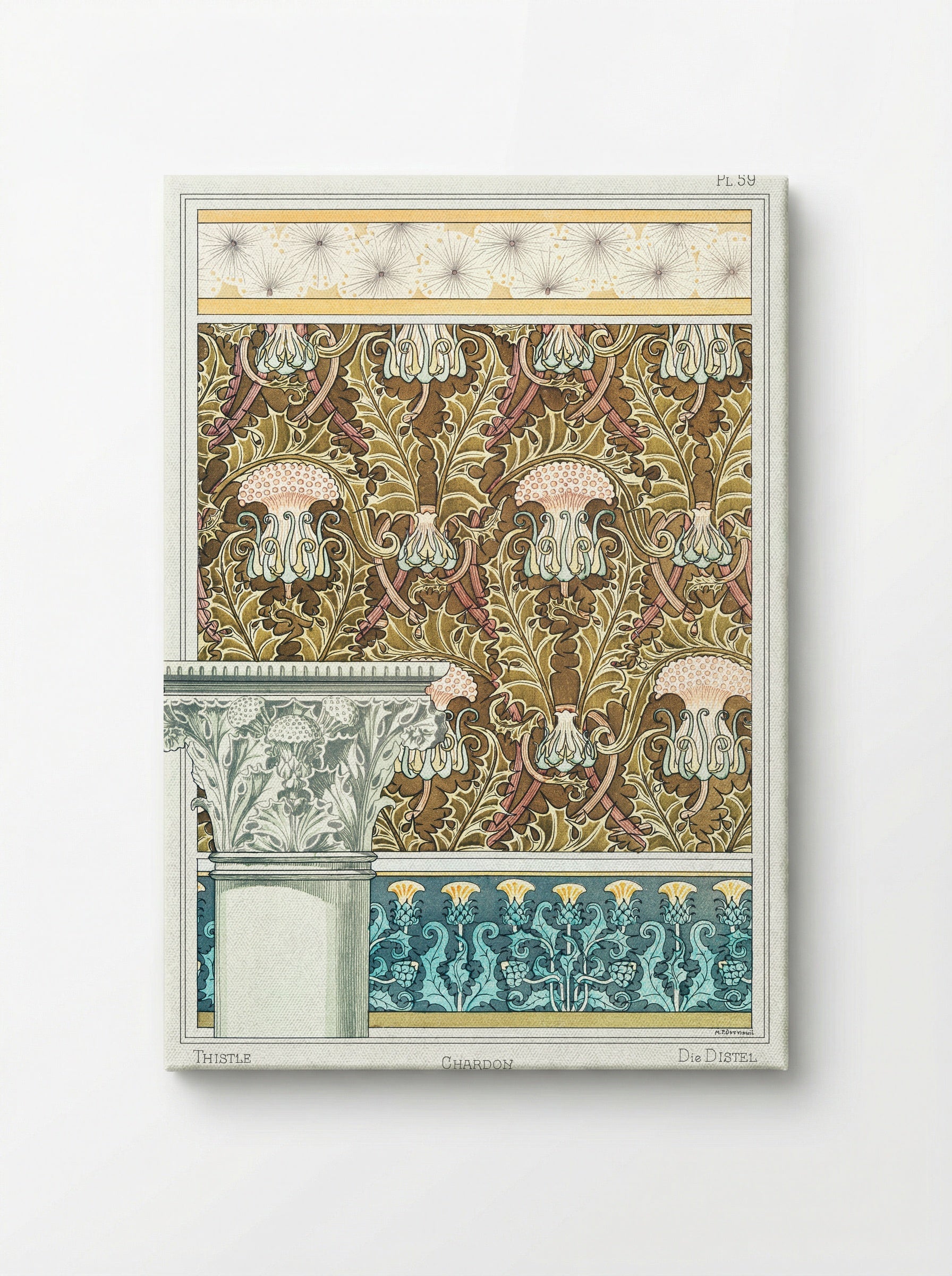 Chardon (Thistle) from La Plante et ses Applications ornementales - Maurice Pillard Verneuil - Canvas