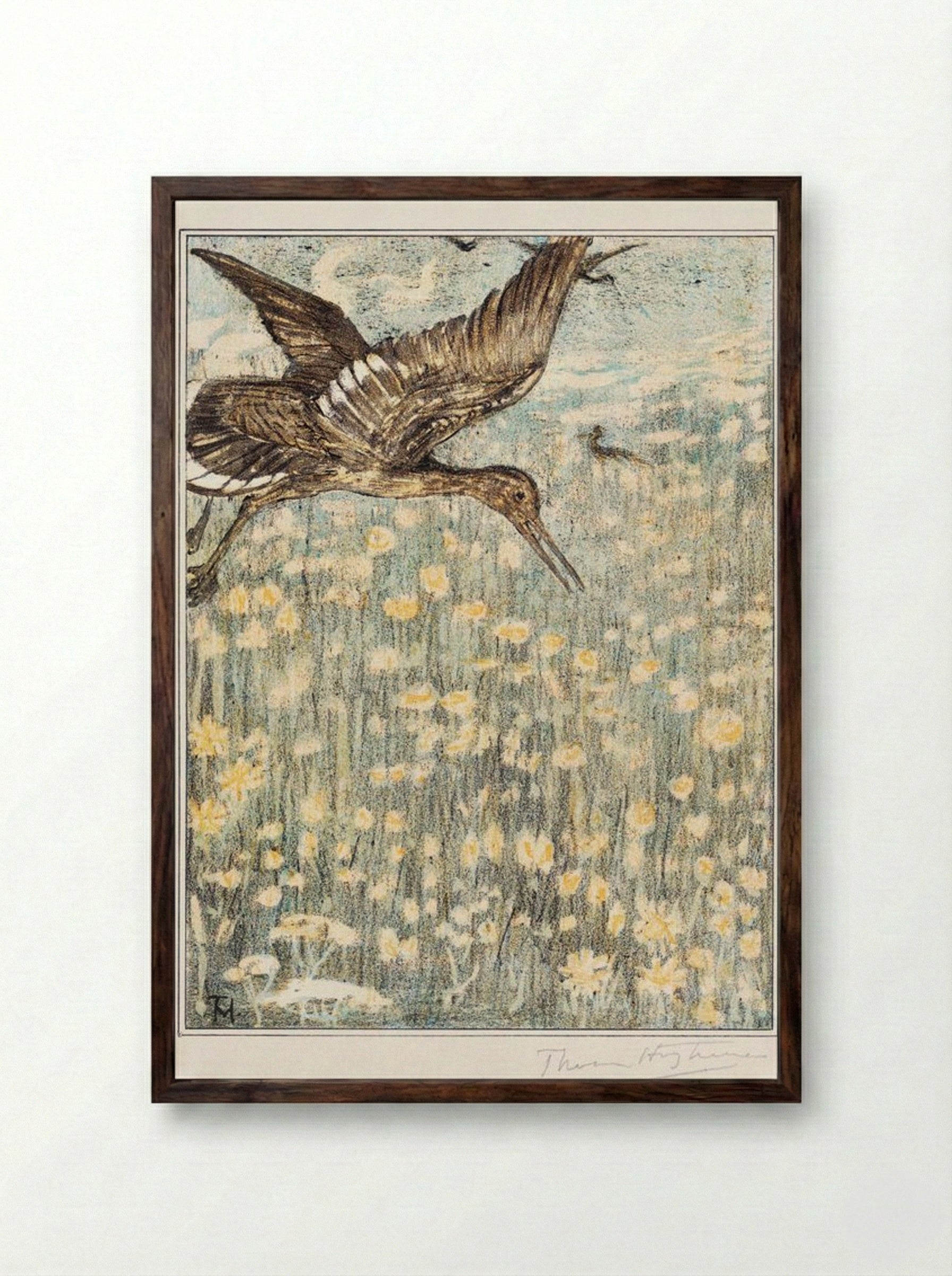 Tureluur (Redshank) - Theo van Hoytema - Framed Print Dark Wood