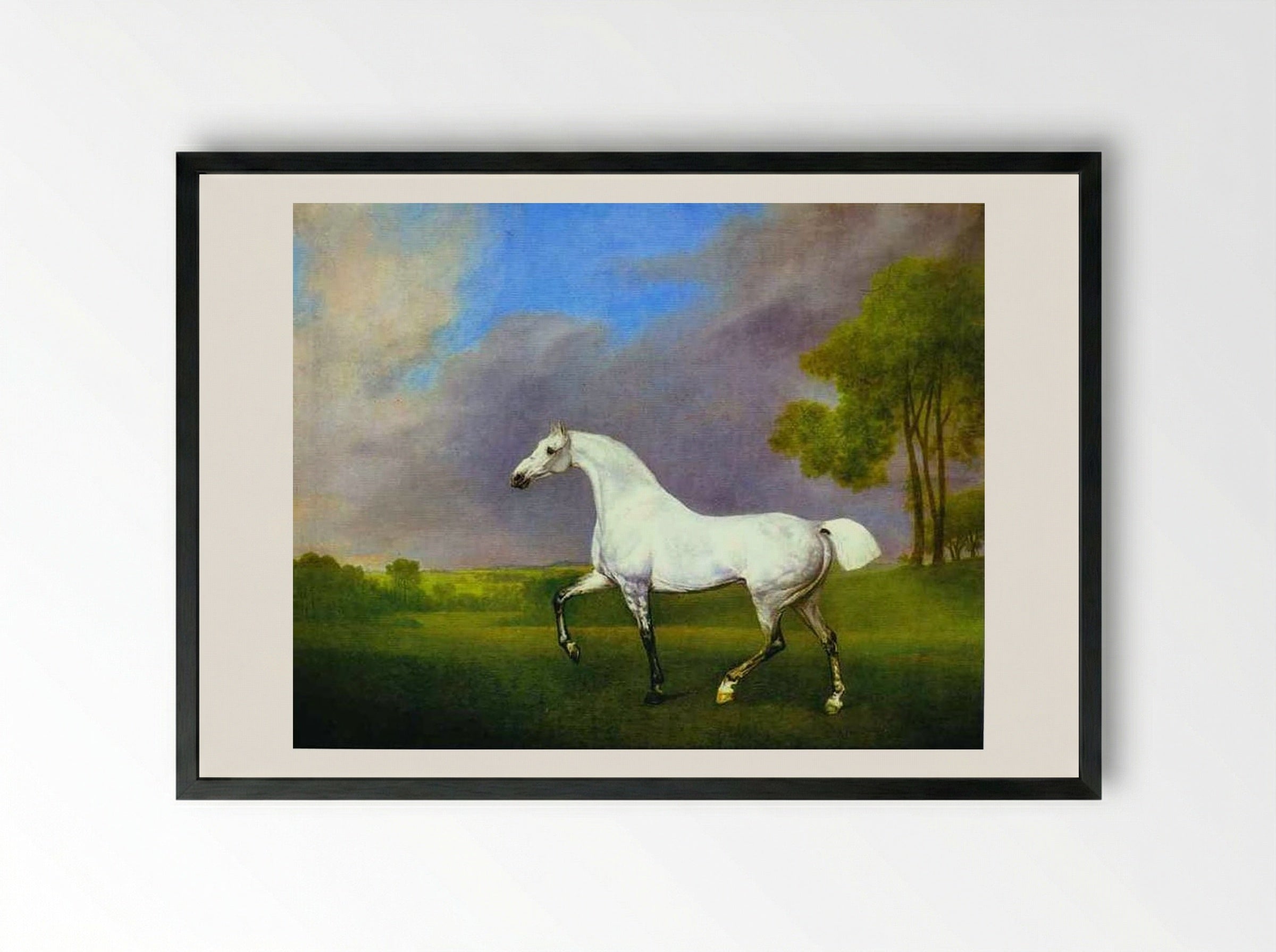 A Grey Horse - George Stubbs - Framed Print Black