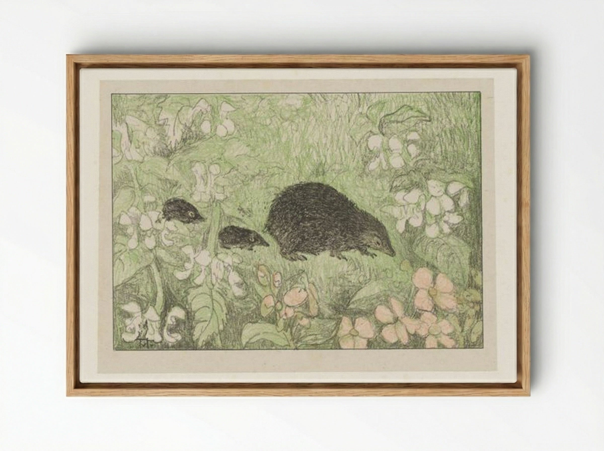 Hedgehog with Young - Theo van Hoytema - Framed Canvas Wood