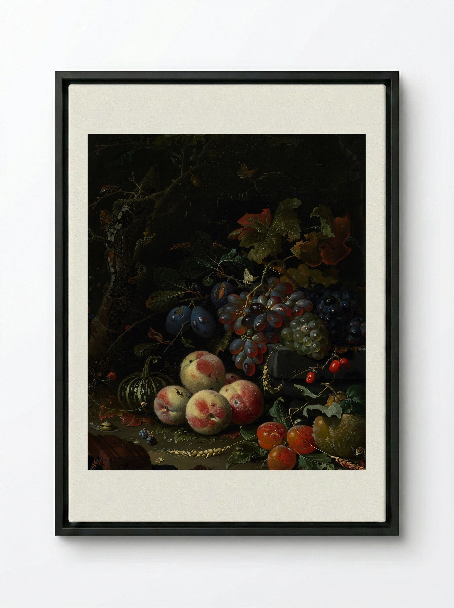 Still Life with Fruit, Foliage, and Insects - Abraham Mignon - Framed Canvas Black