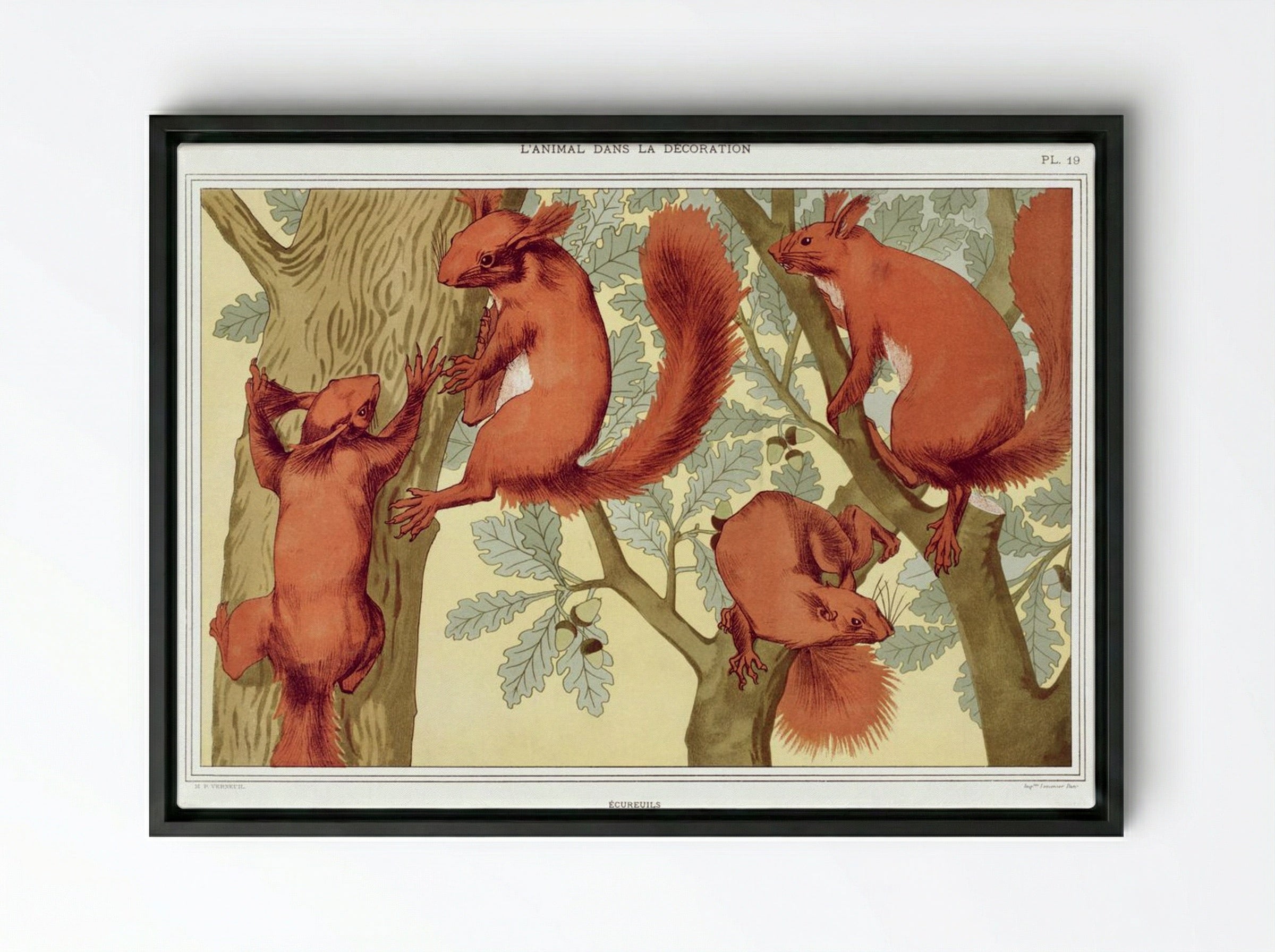 Écureuils (Squirrels) from L'animal dans la décoration - Maurice Pillard Verneuil - Framed Canvas Black