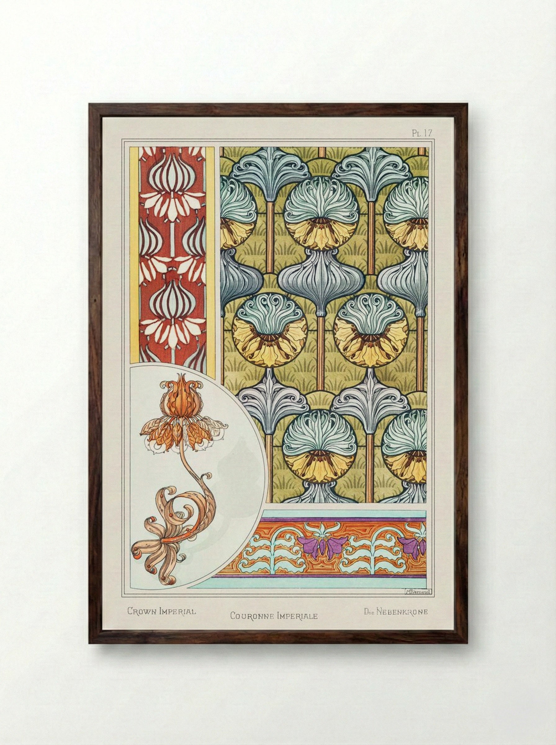 Couronne Impériale (Crown Imperial) from La Plante et ses Applications ornementales - Maurice Pillard Verneuil - Framed Print Dark Wood