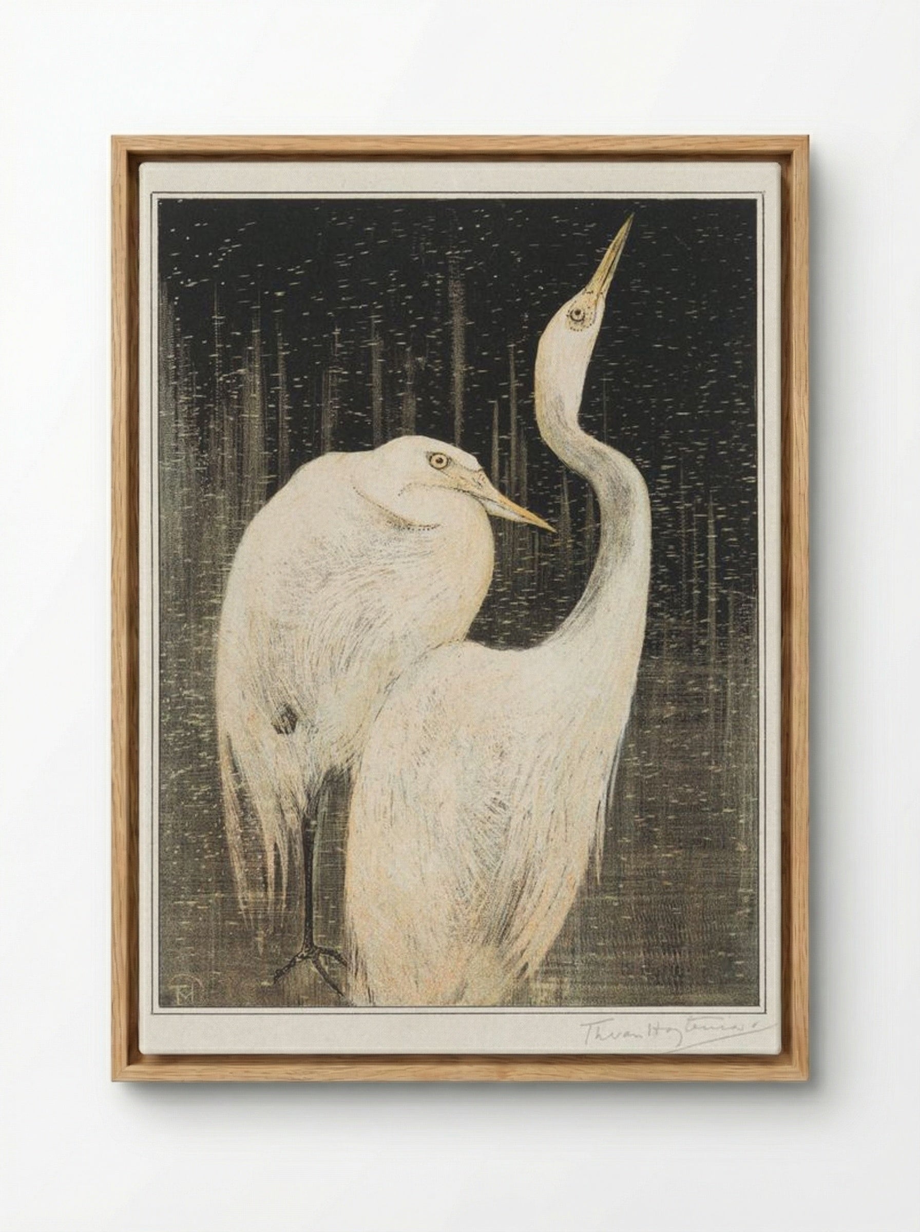 Two Egrets - Theo van Hoytema - Framed Canvas Wood