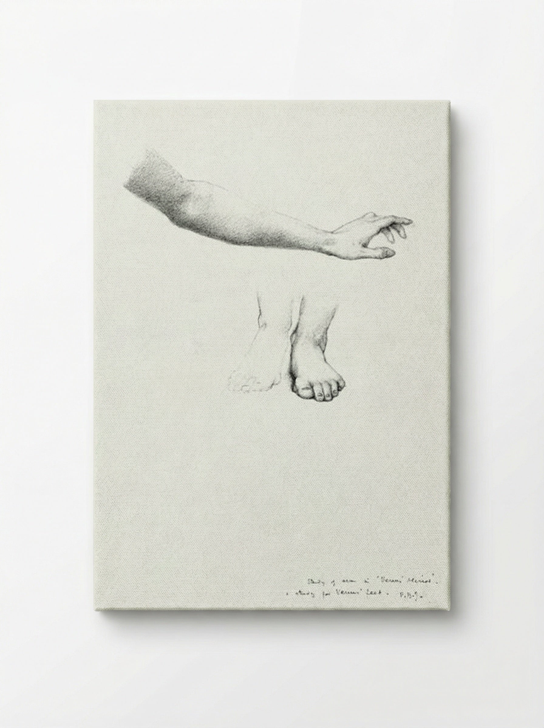 Study of Arm and Feet for 'The Mirror of Venus' - Edward Burne-Jones - Canvas